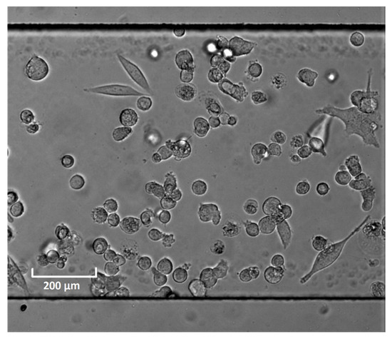 Molecules 25 01652 g0a1