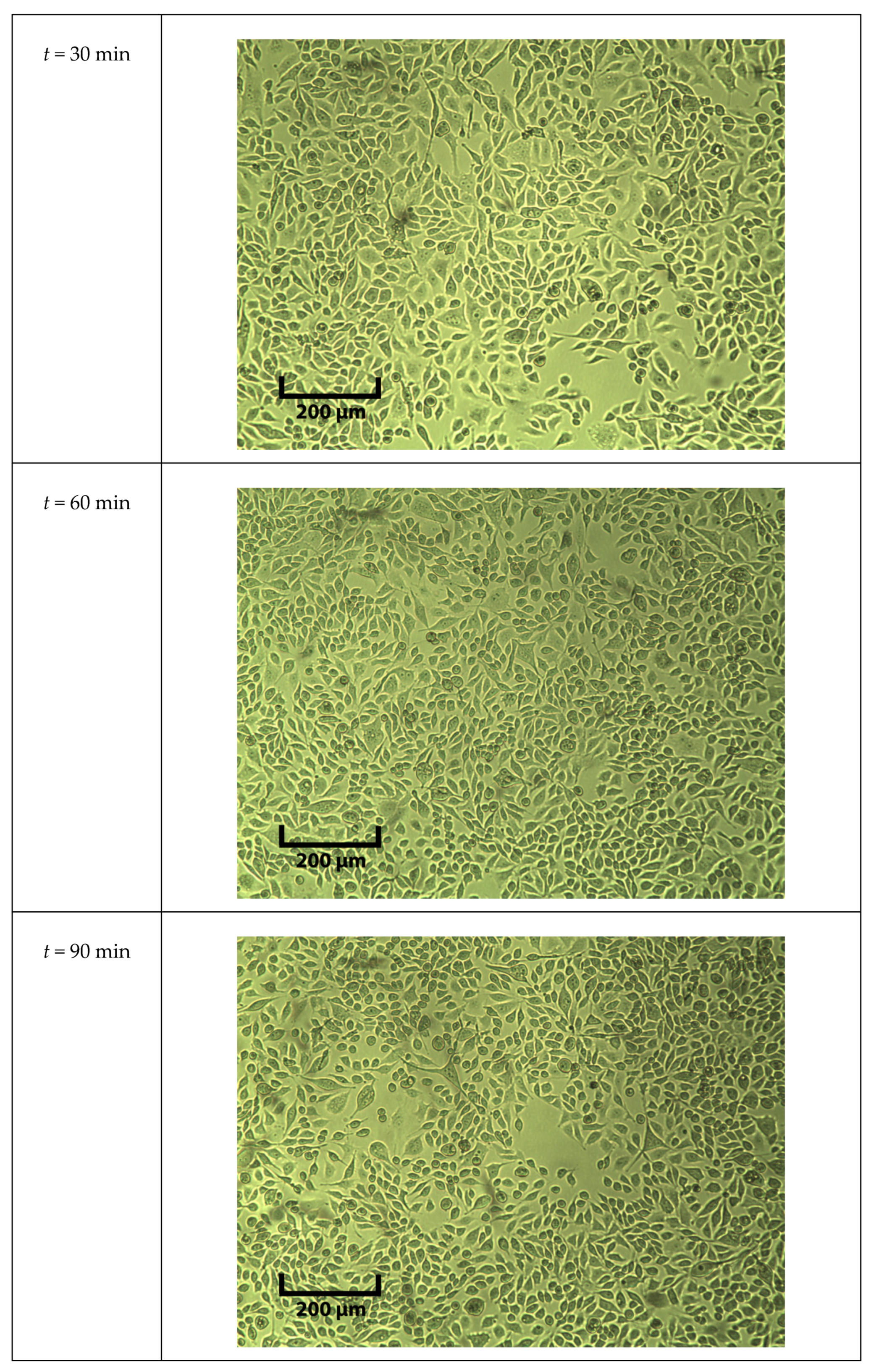 Molecules 25 01652 g0a5b Molecules 25 01652 g0a5b