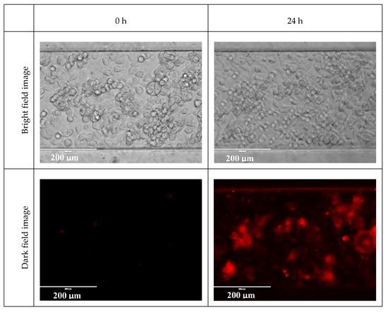 Molecules 25 01652 g0a6