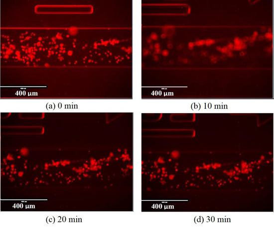 Molecules 25 01652 g0a7