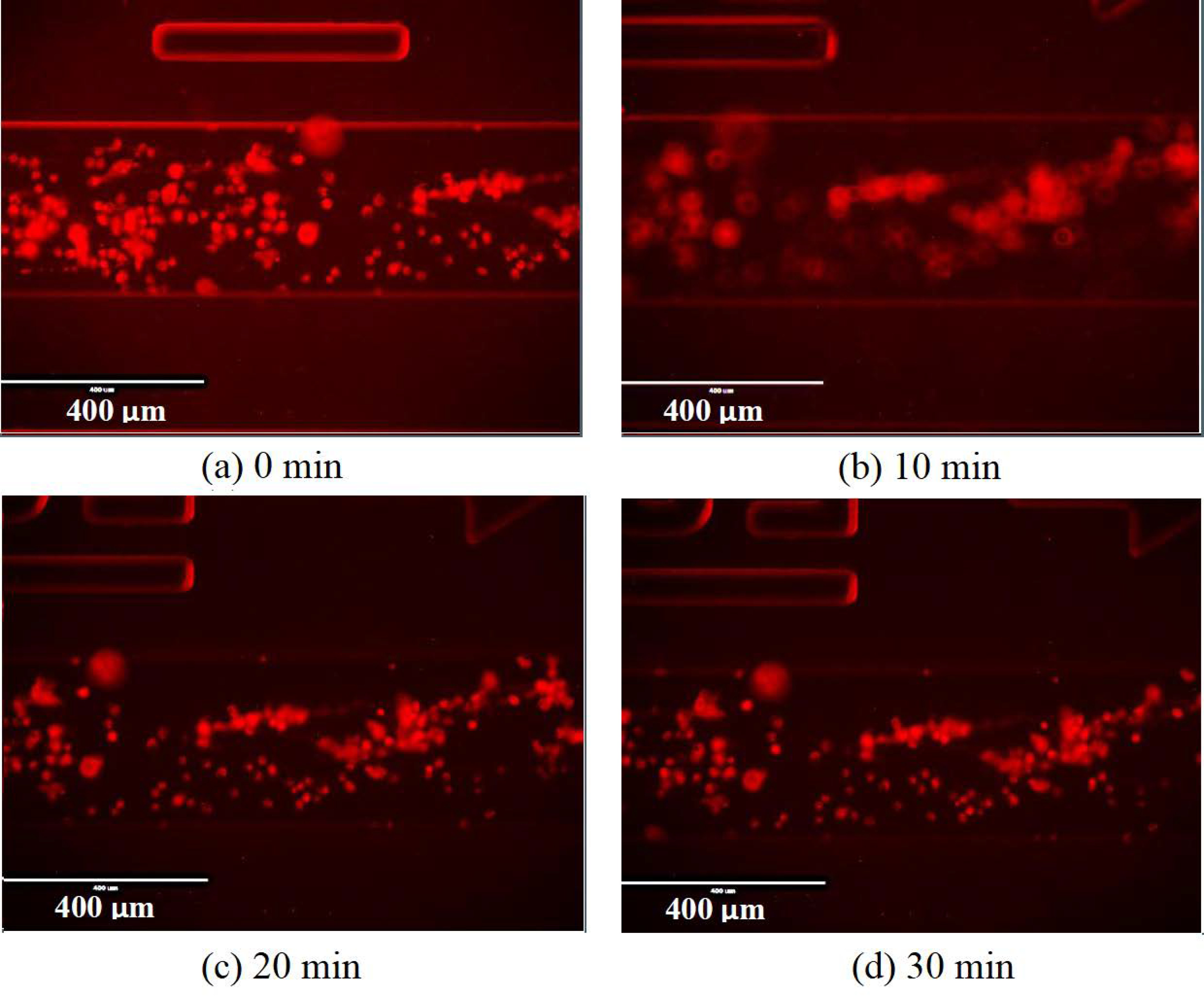 Molecules 25 01652 g0a7 Molecules 25 01652 g0a7