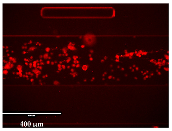 Molecules 25 01652 g0a8