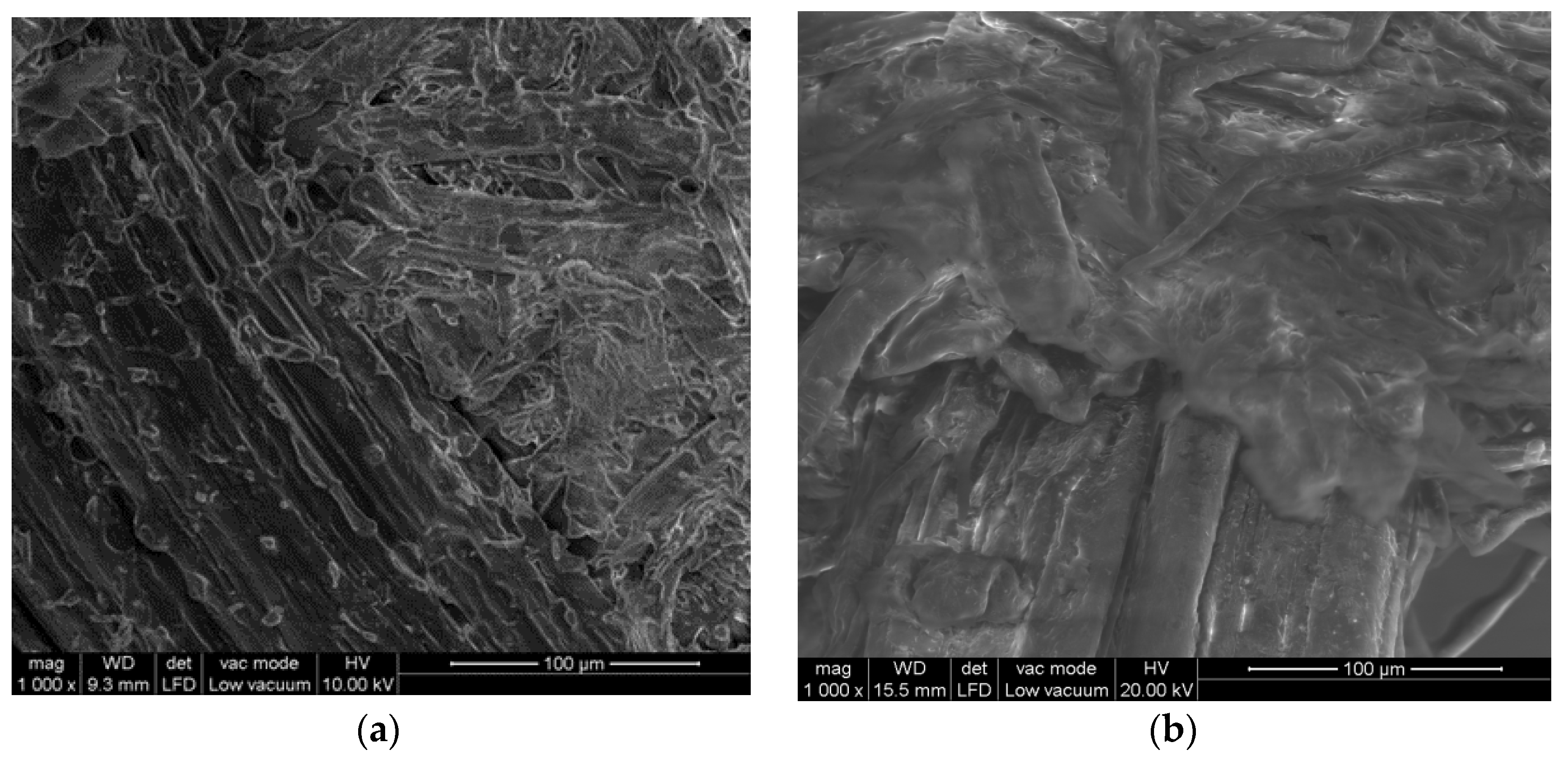 Molecules 25 01660 g001