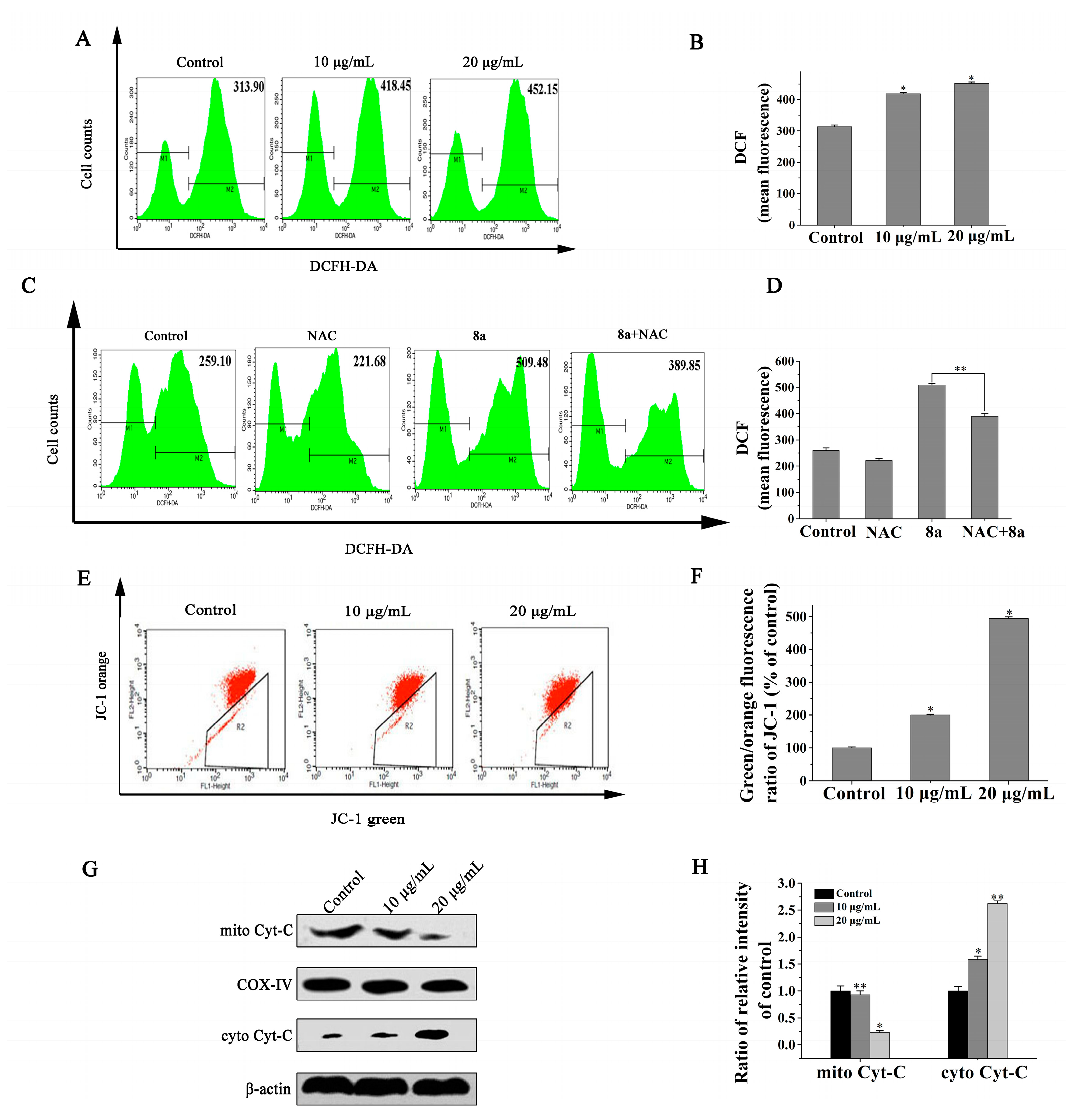 Molecules 25 01672 g008