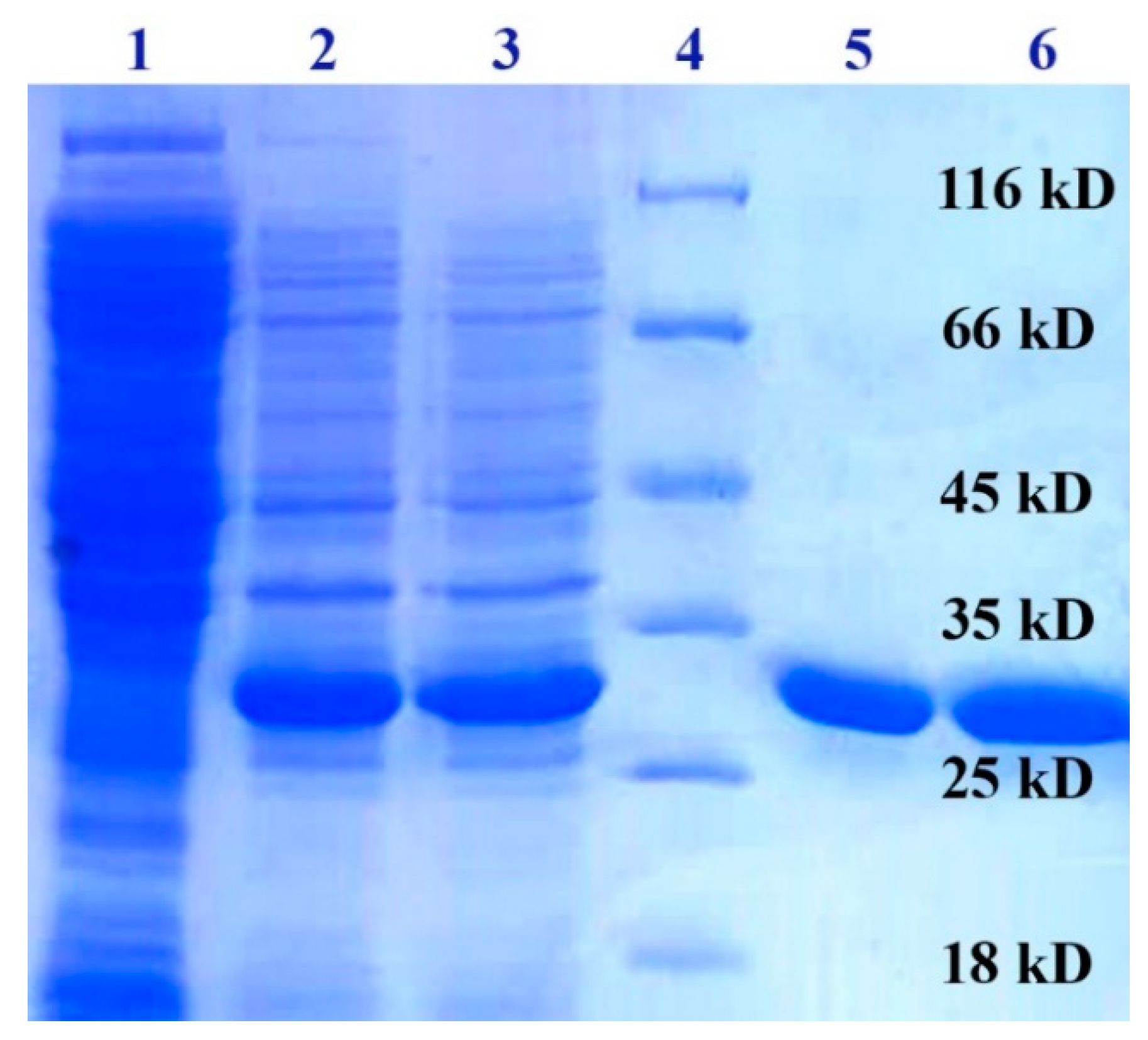 Molecules 25 01673 g004