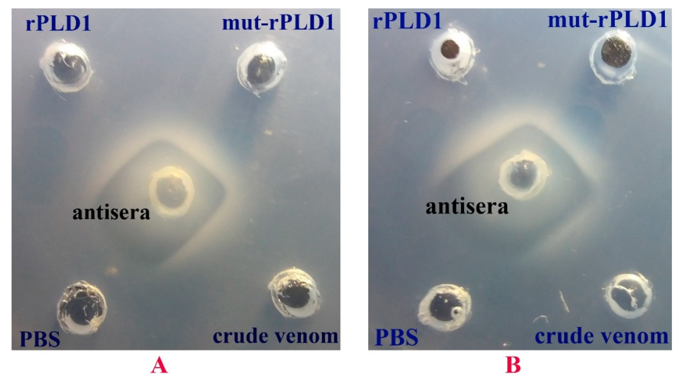 Molecules 25 01673 g008