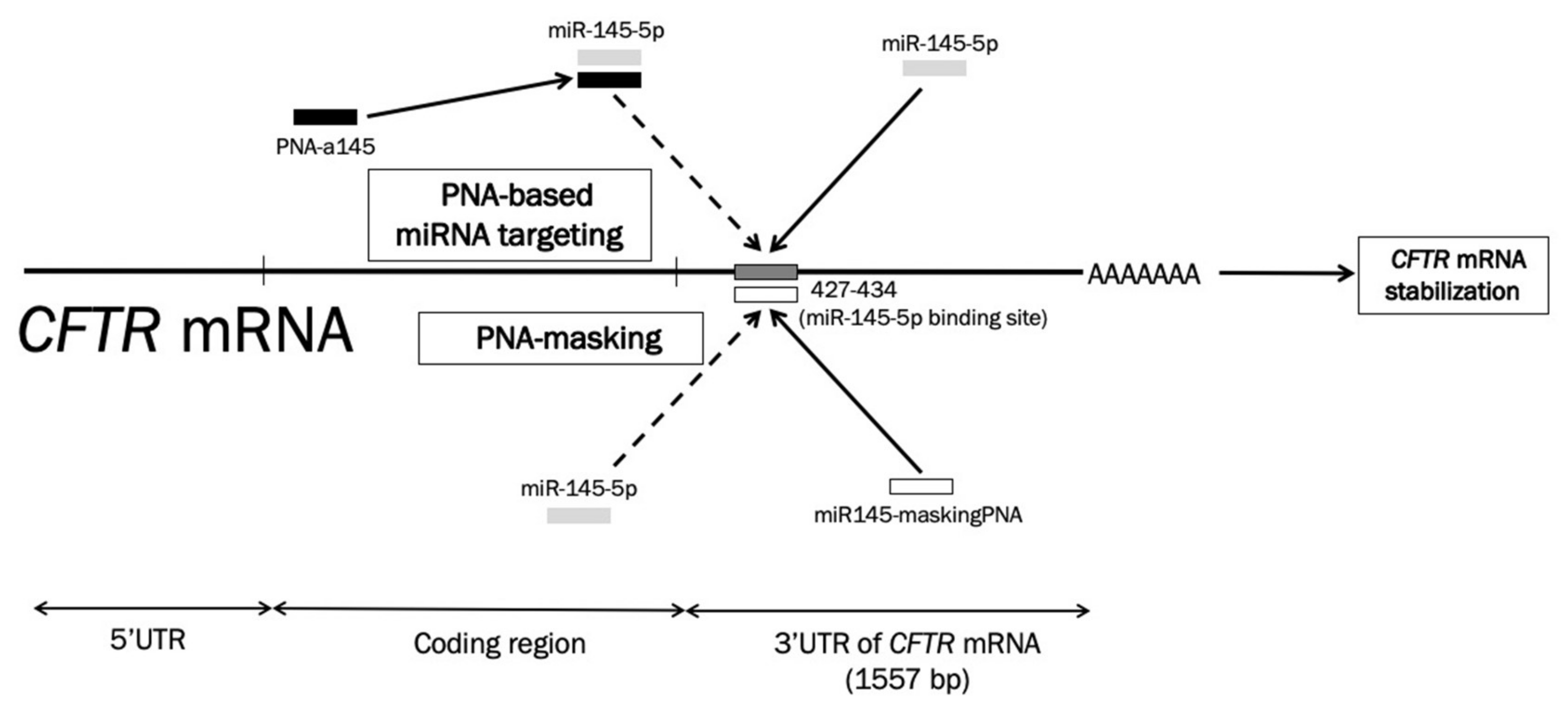 Molecules 25 01677 g001