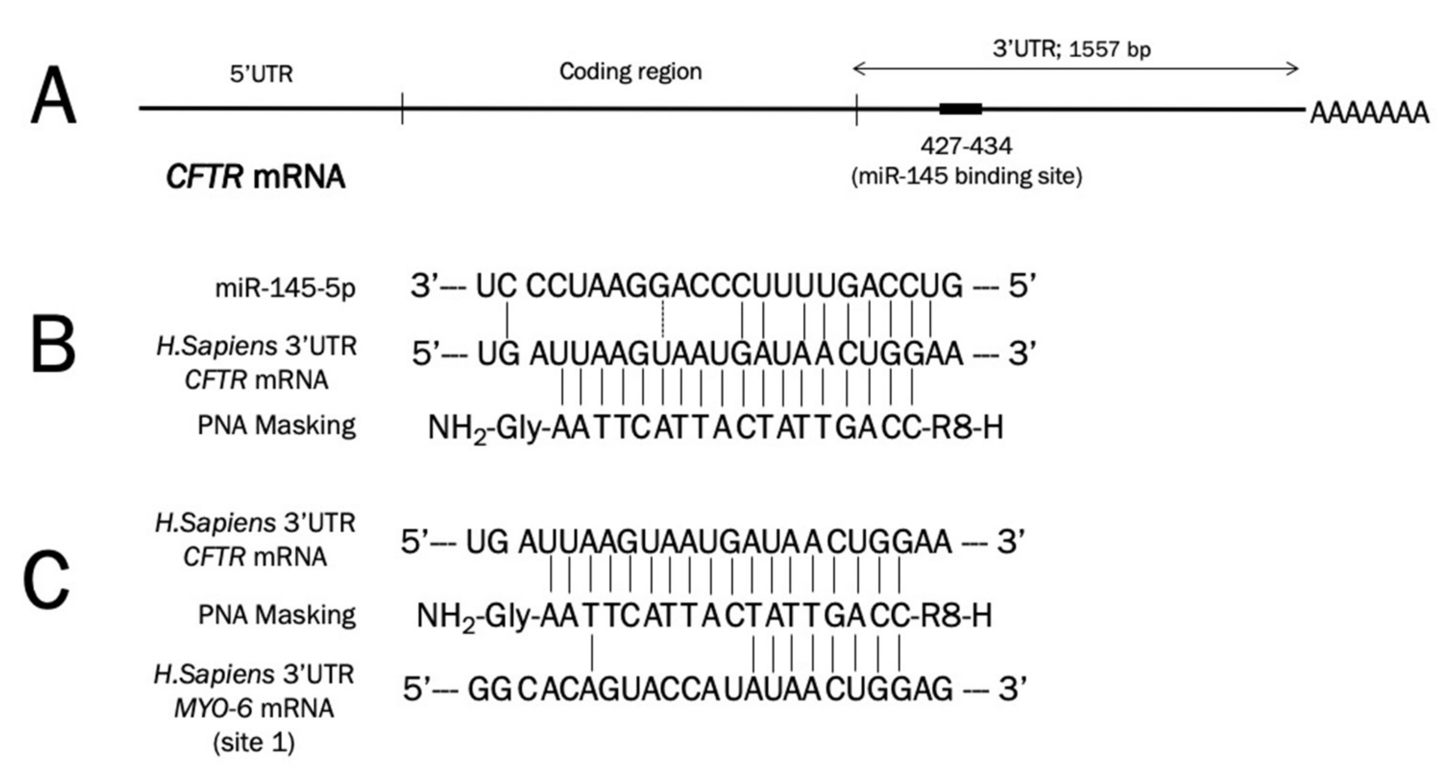 Molecules 25 01677 g002