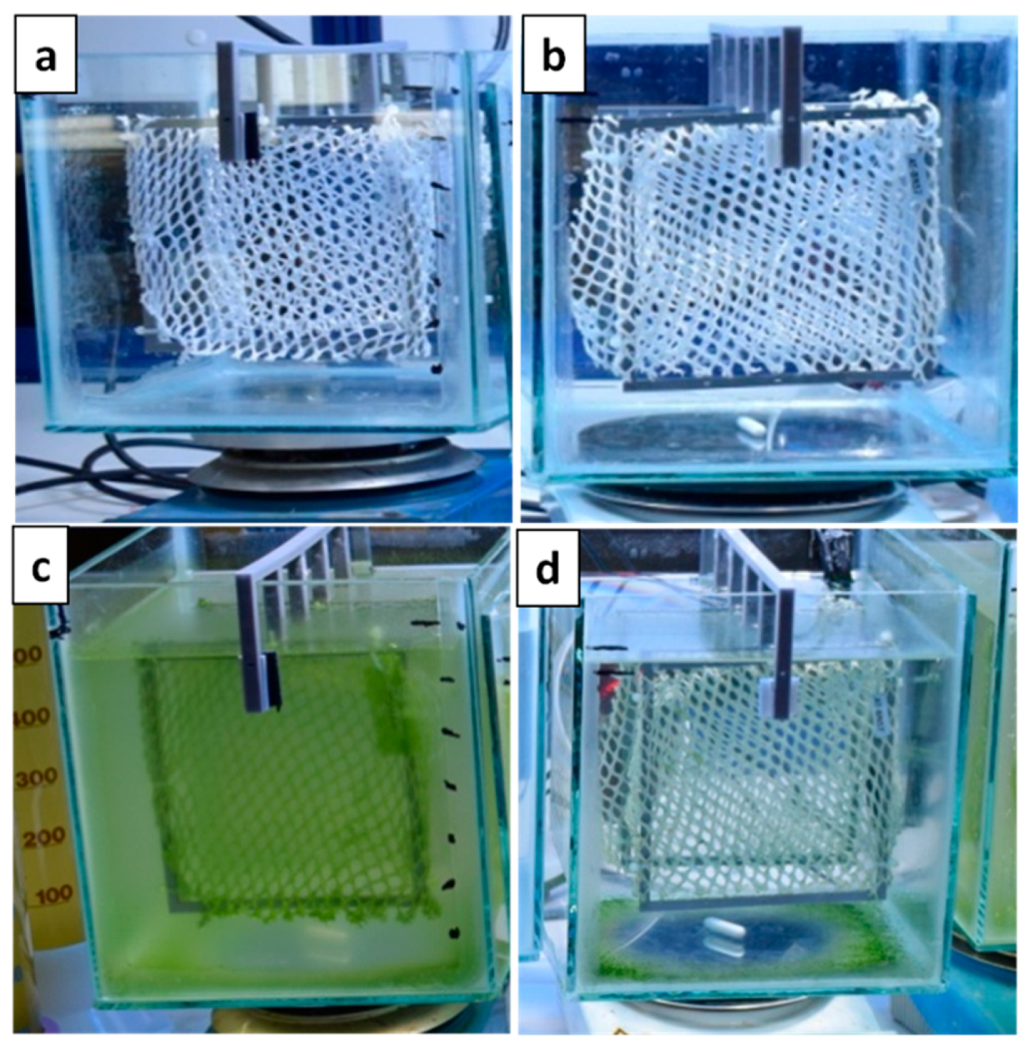 Molecules 25 01678 g006 Molecules 25 01678 g006