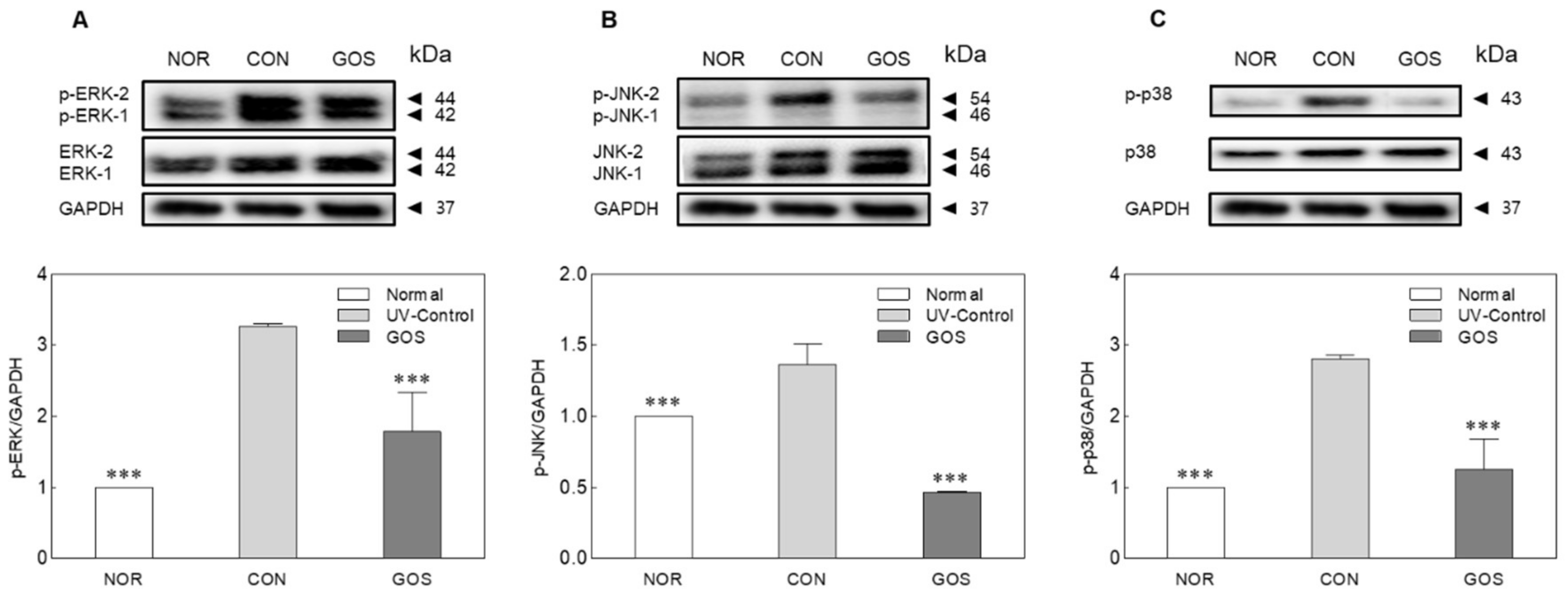 Molecules 25 01679 g005