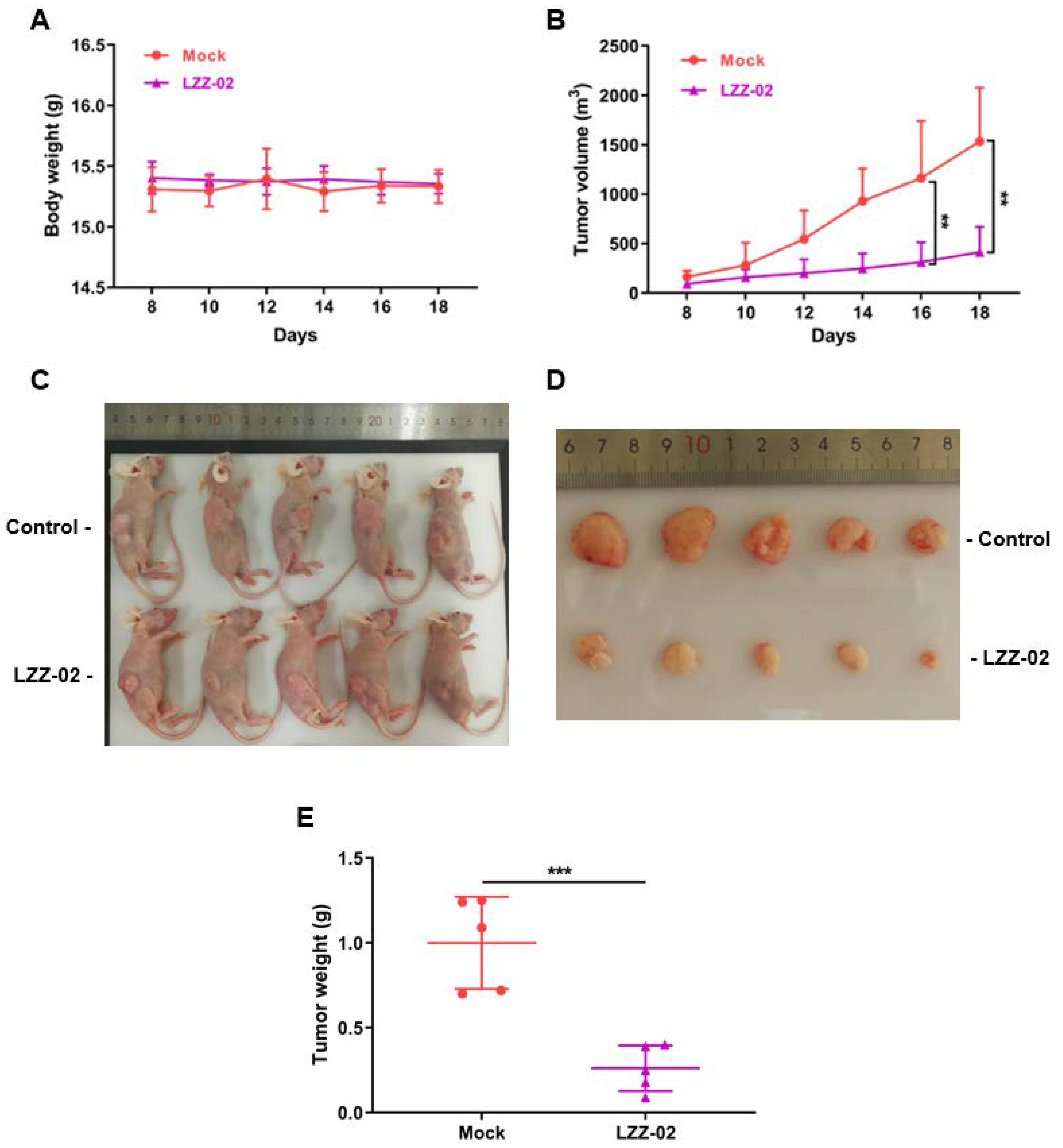 Molecules 25 01680 g006 Molecules 25 01680 g006