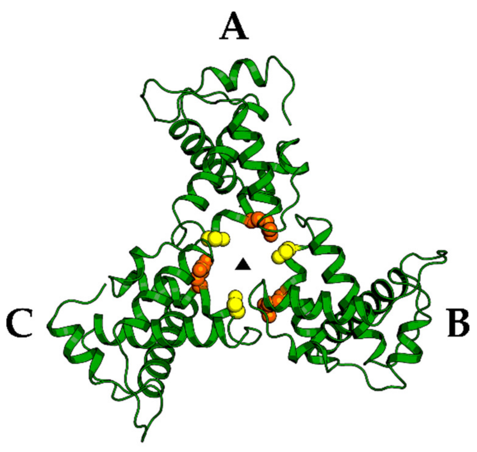 Molecules 25 01687 g006 Molecules 25 01687 g006