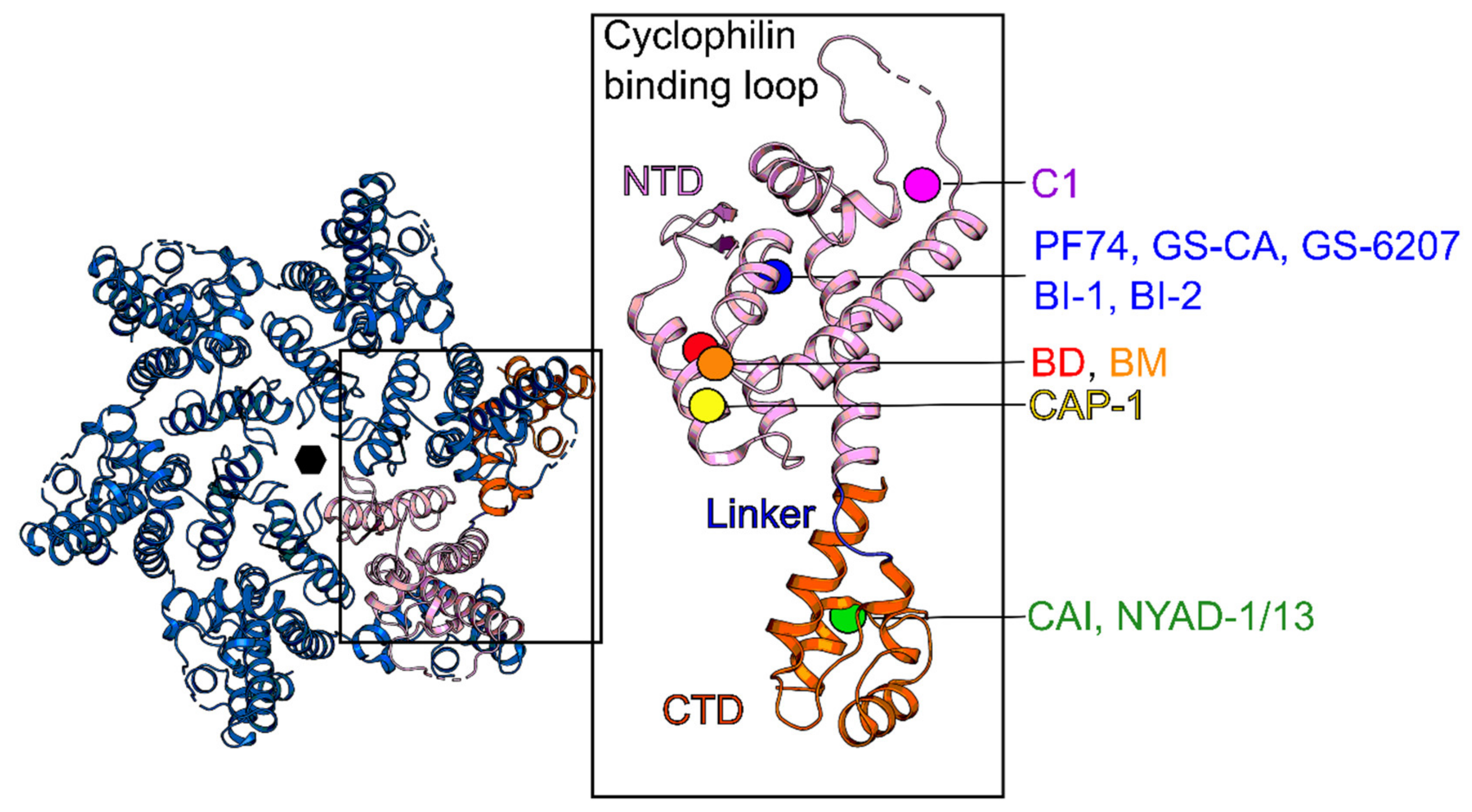 Molecules 25 01687 g007 Molecules 25 01687 g007