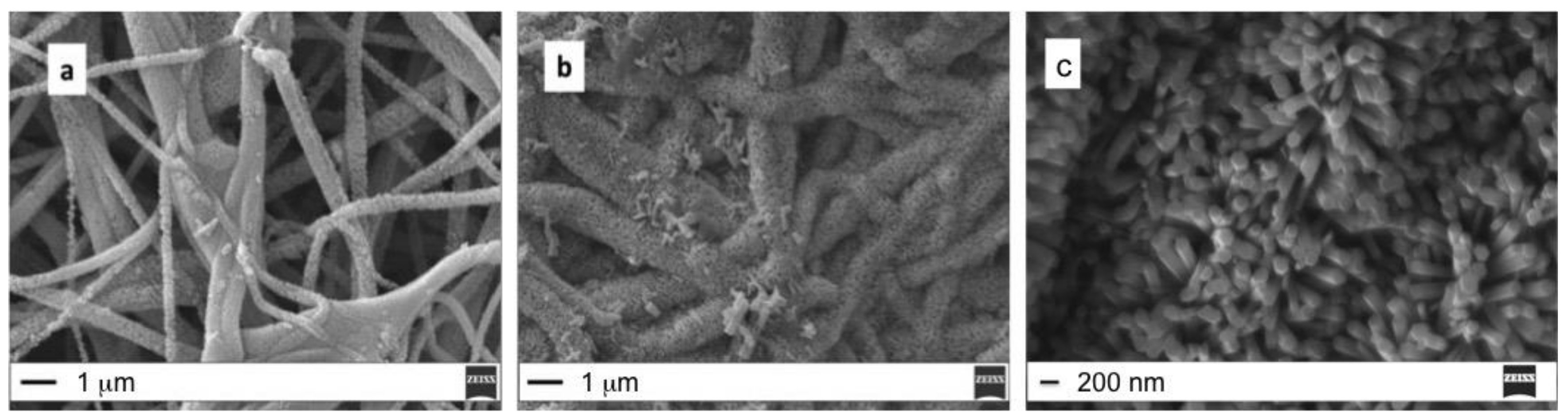 Molecules 25 01696 g002