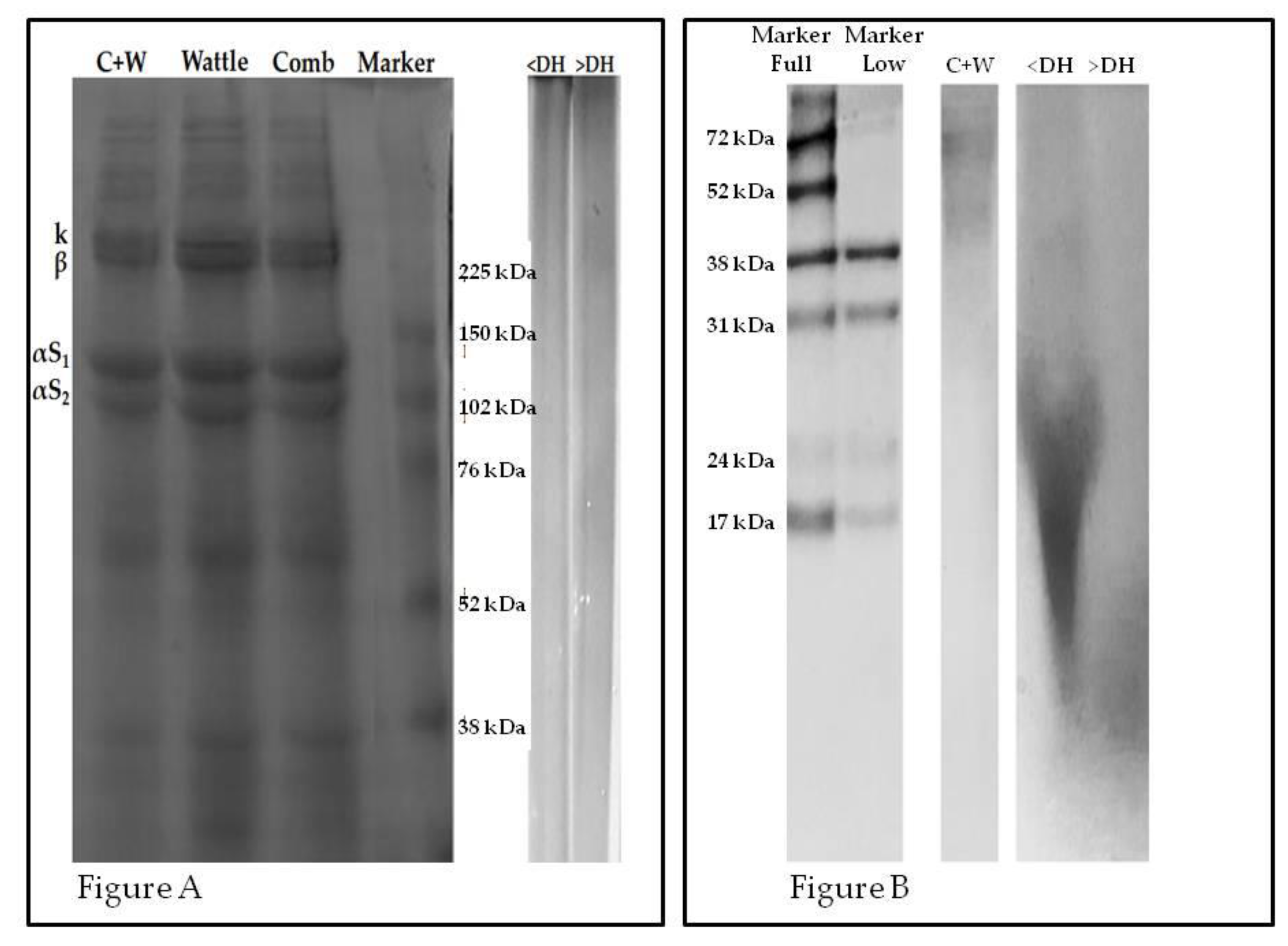 Molecules 25 01698 g002