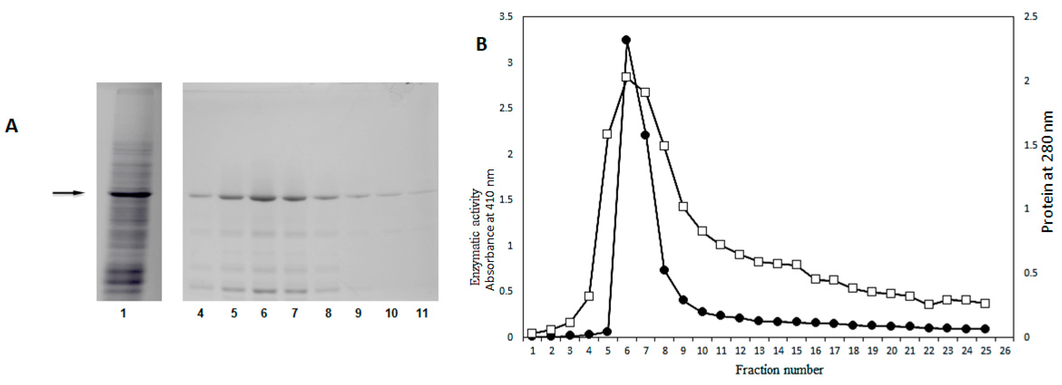 Molecules 25 01699 g001