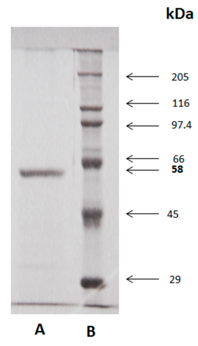 Molecules 25 01699 g004