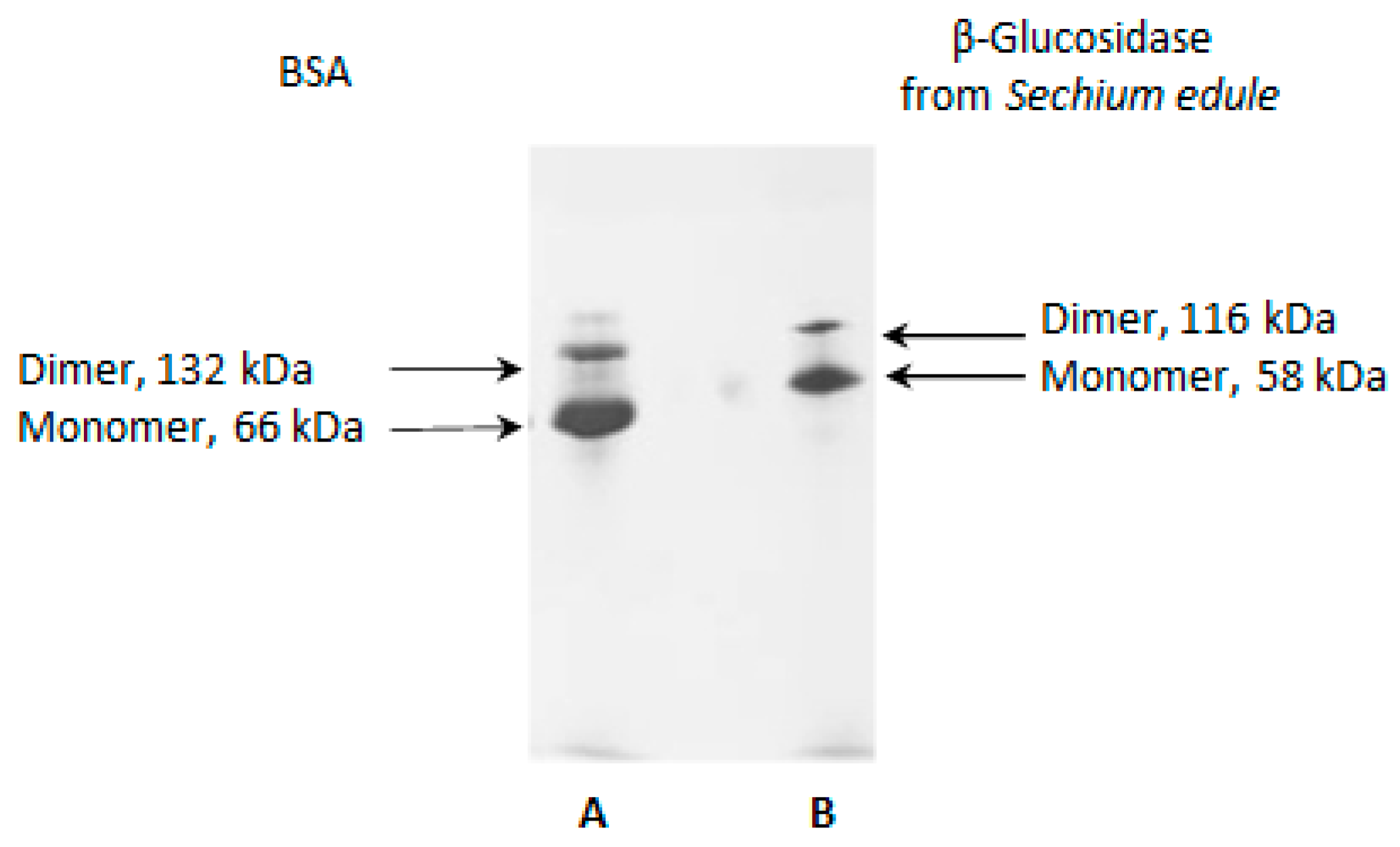 Molecules 25 01699 g006