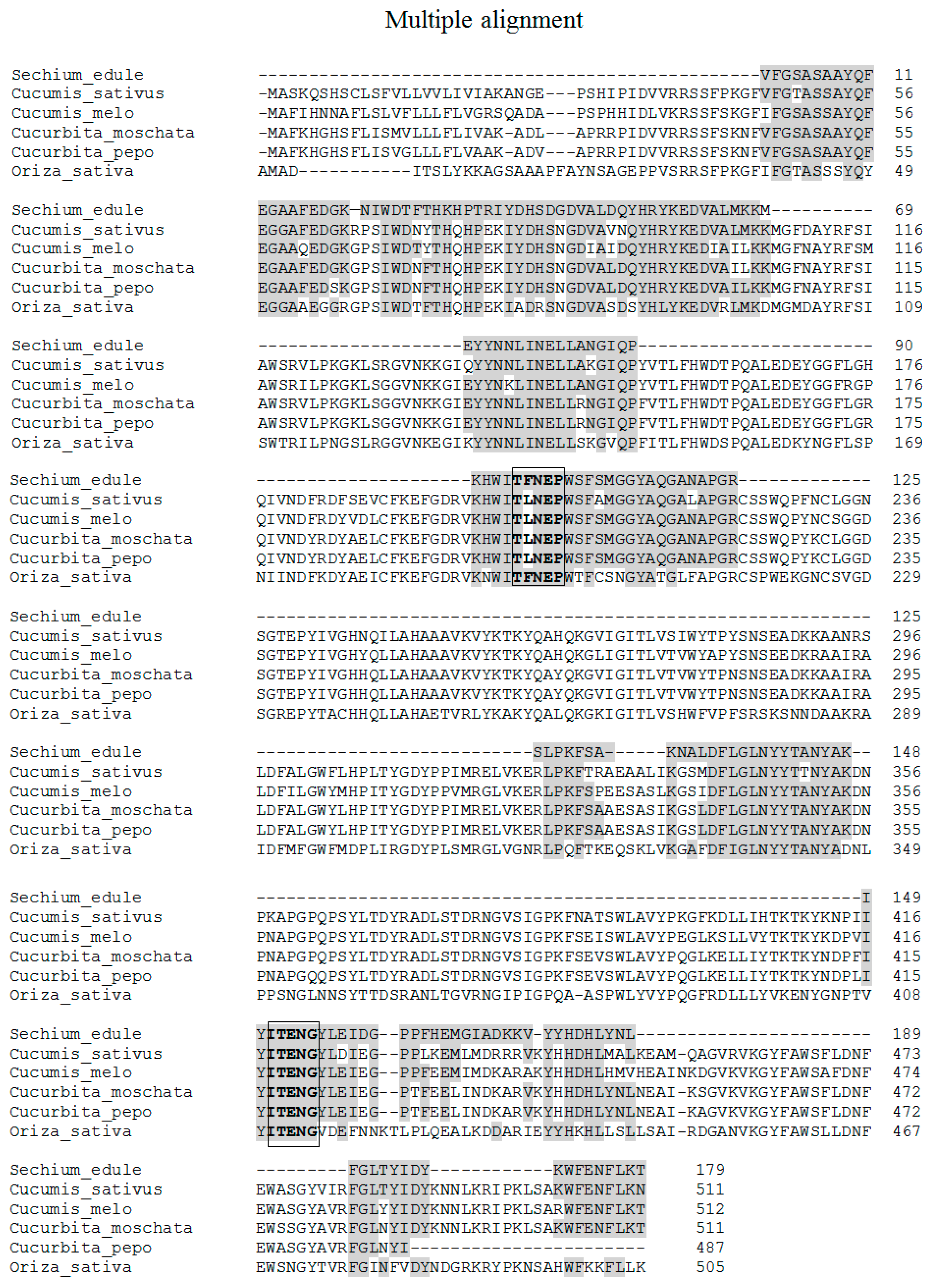 Molecules 25 01699 g009
