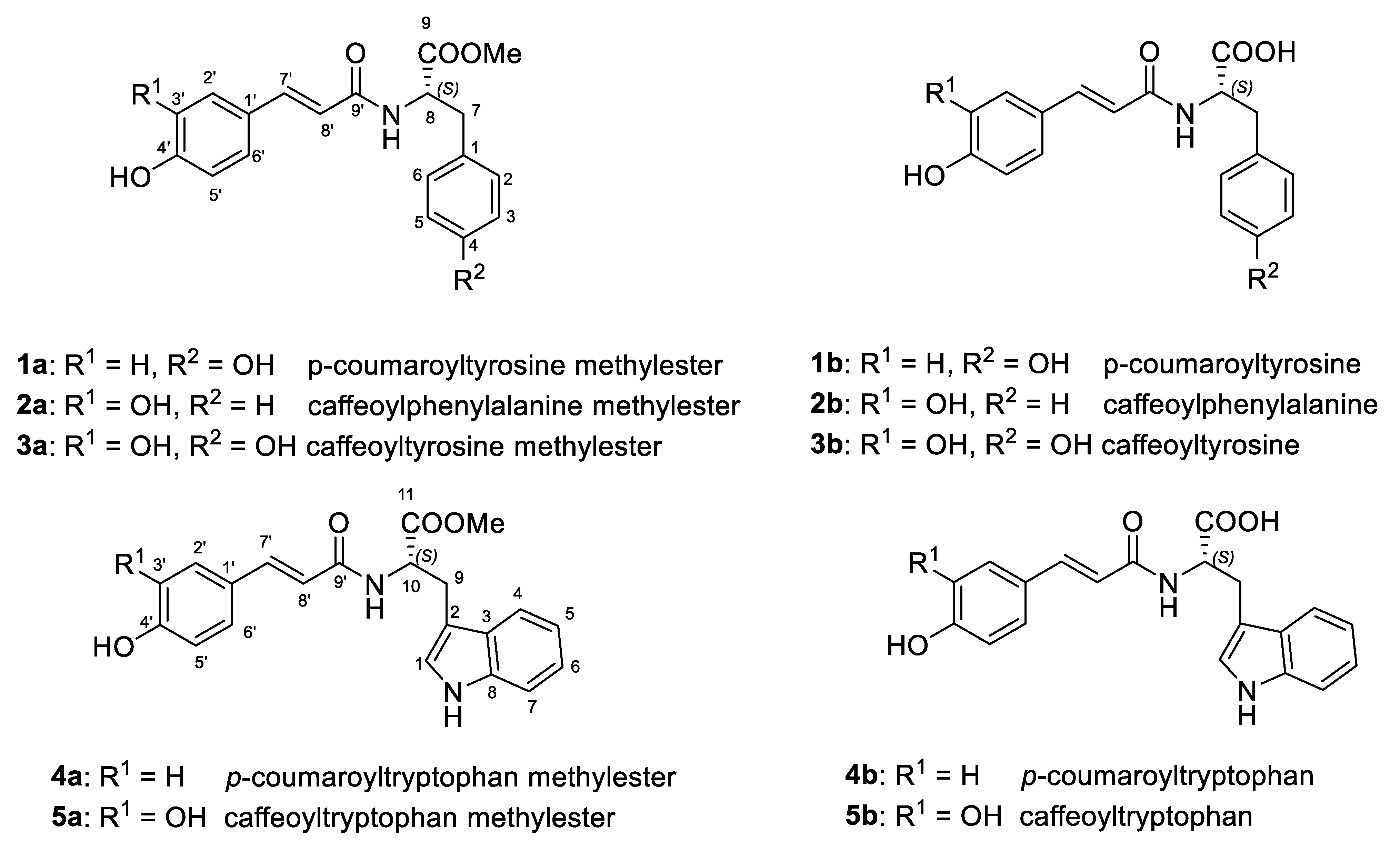 Molecules 25 01704 g001