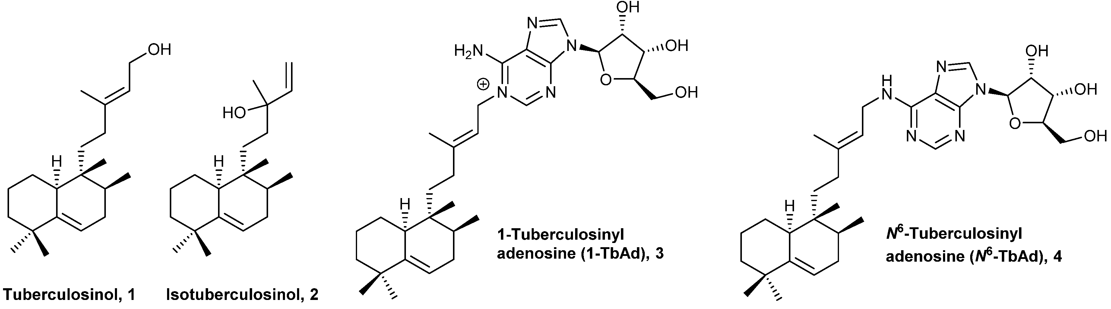 Molecules 25 01707 g001 Molecules 25 01707 g001