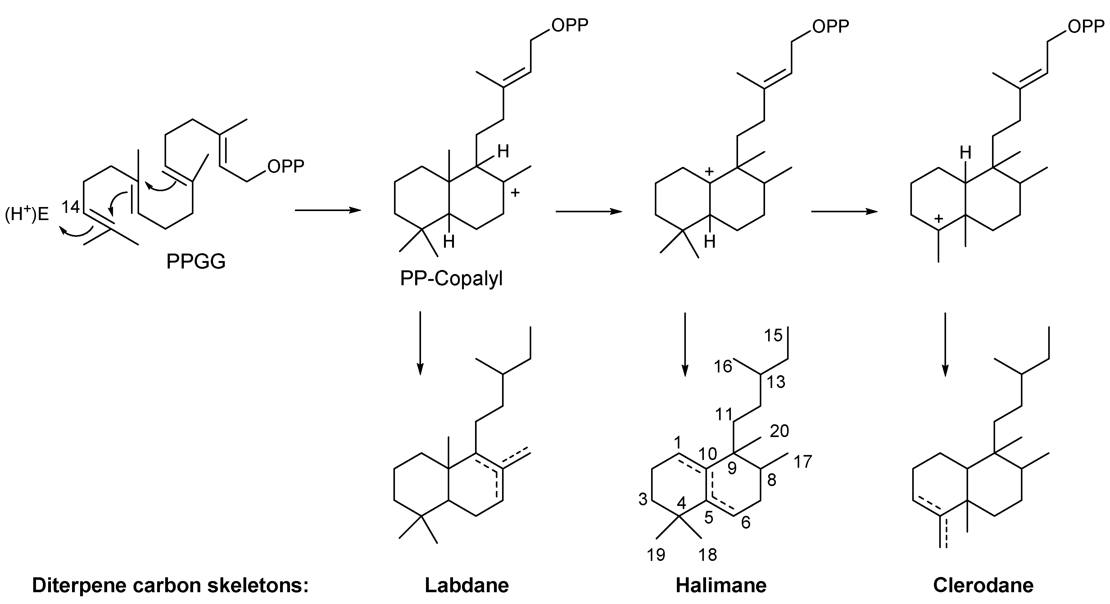 Molecules 25 01707 g002 Molecules 25 01707 g002