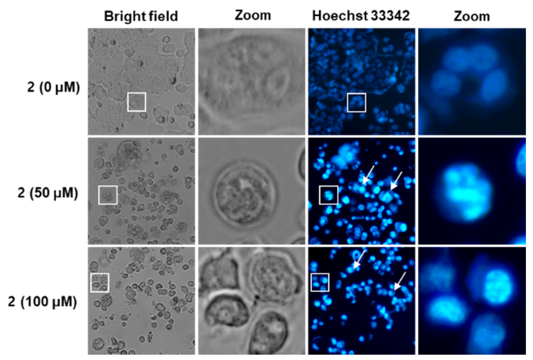 Molecules 25 01708 g004
