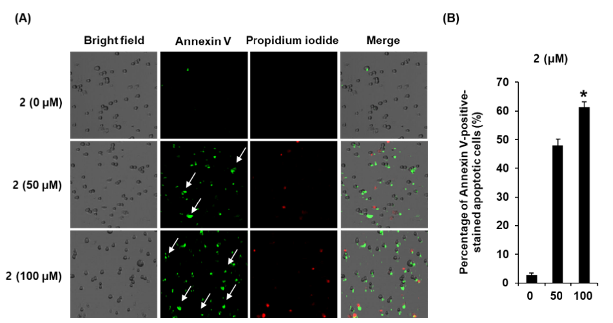 Molecules 25 01708 g005