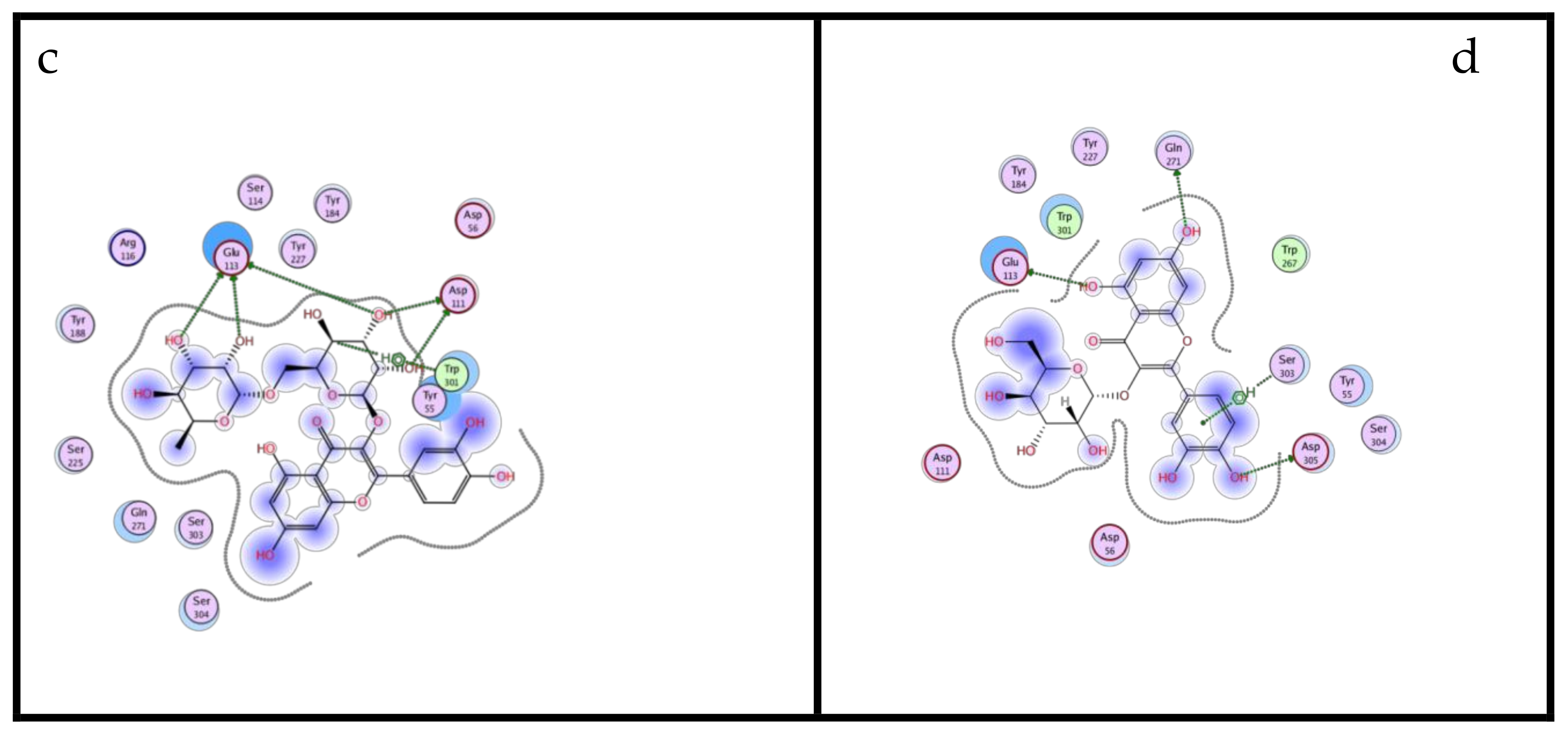 Molecules 25 01714 g003b Molecules 25 01714 g003b