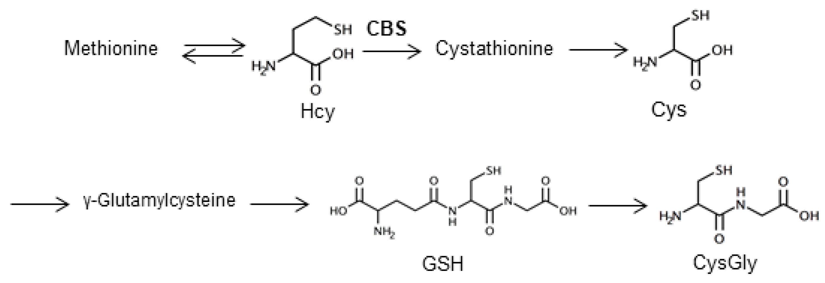 Molecules 25 01735 g001