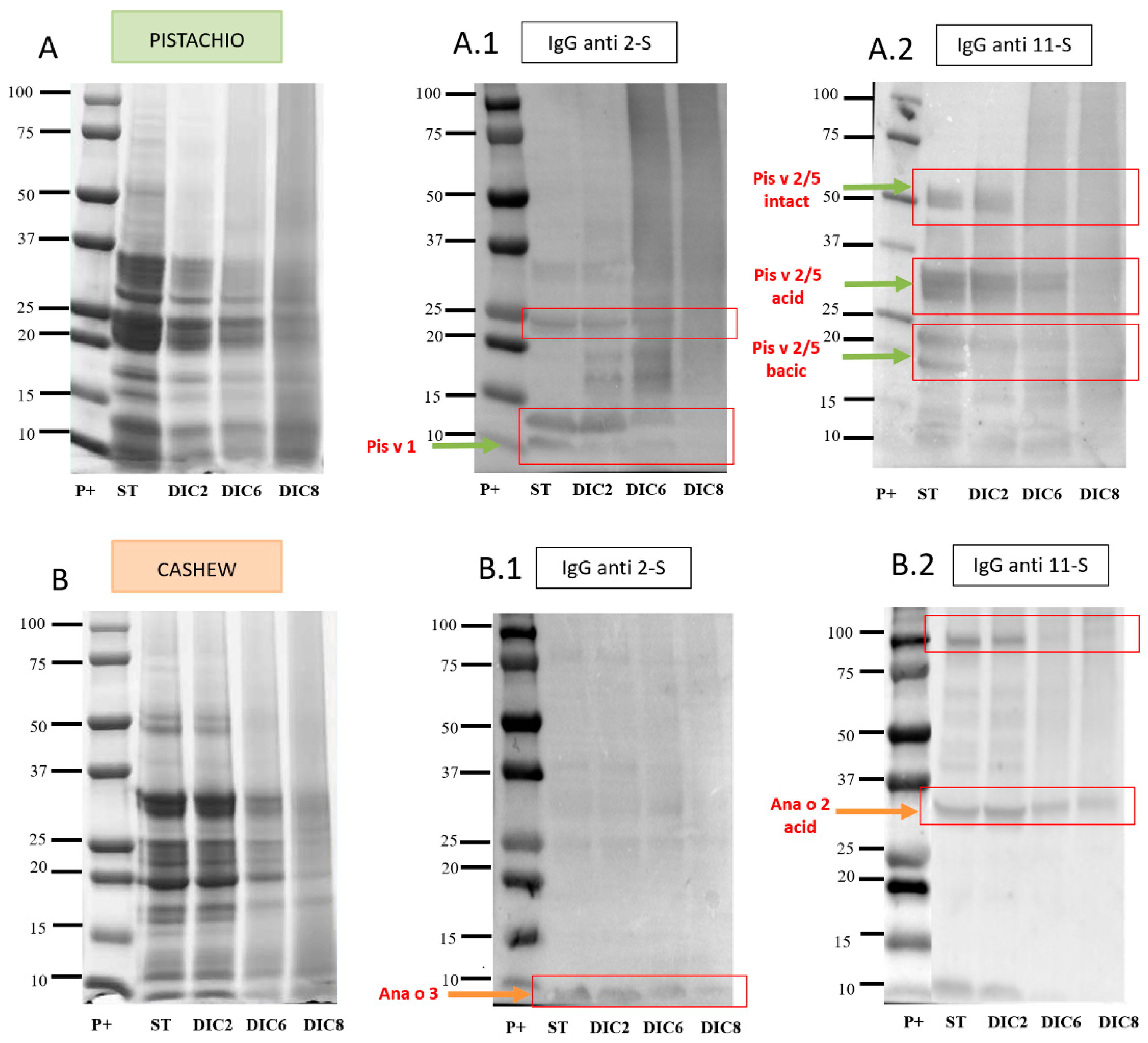 Molecules 25 01742 g003