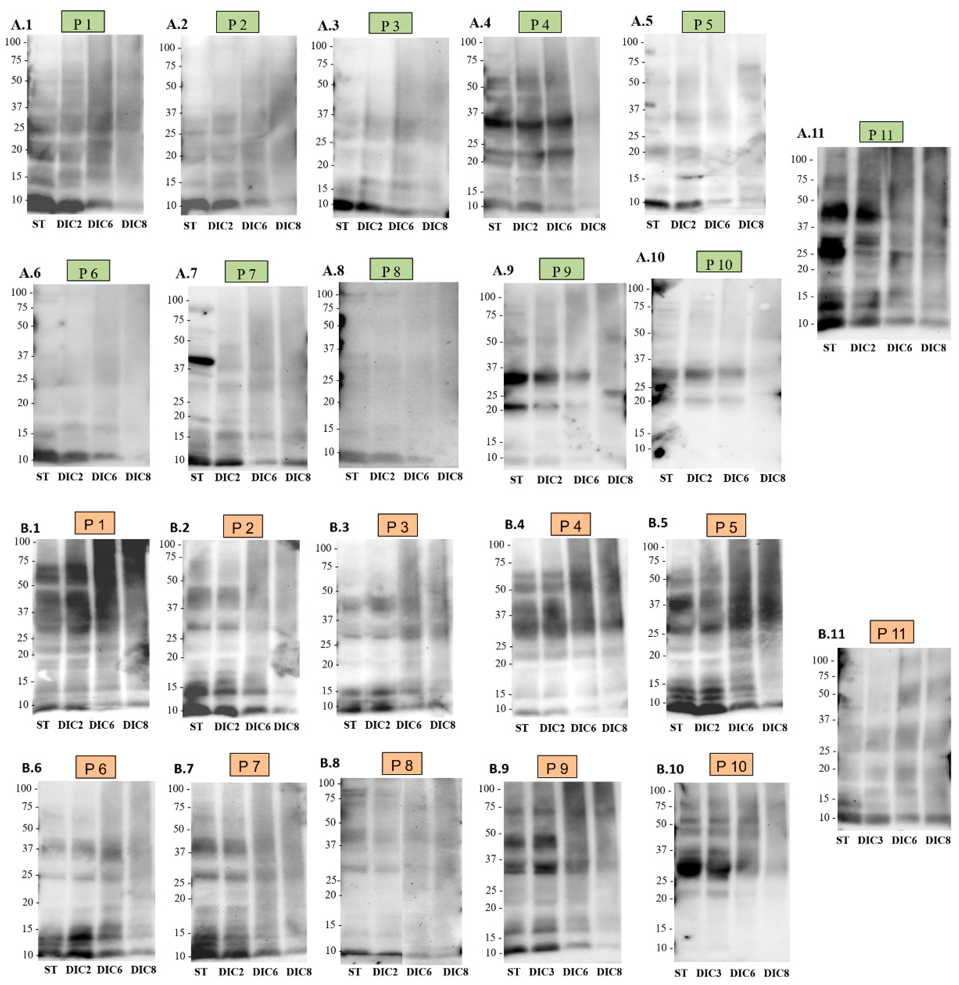 Molecules 25 01742 g004