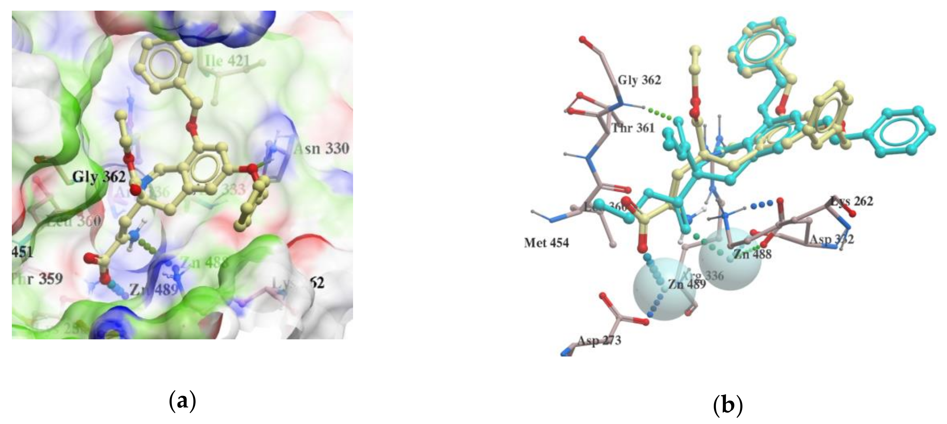 Molecules 25 01753 g004
