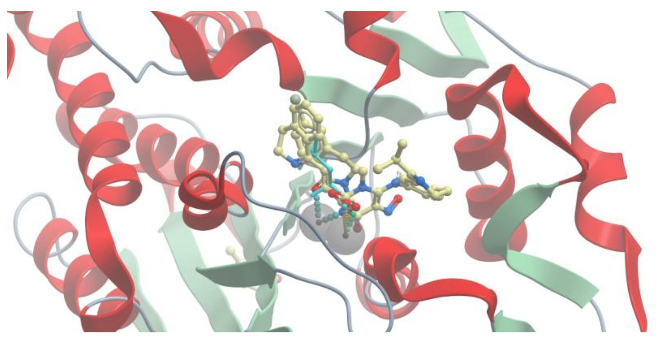 Molecules 25 01753 g005