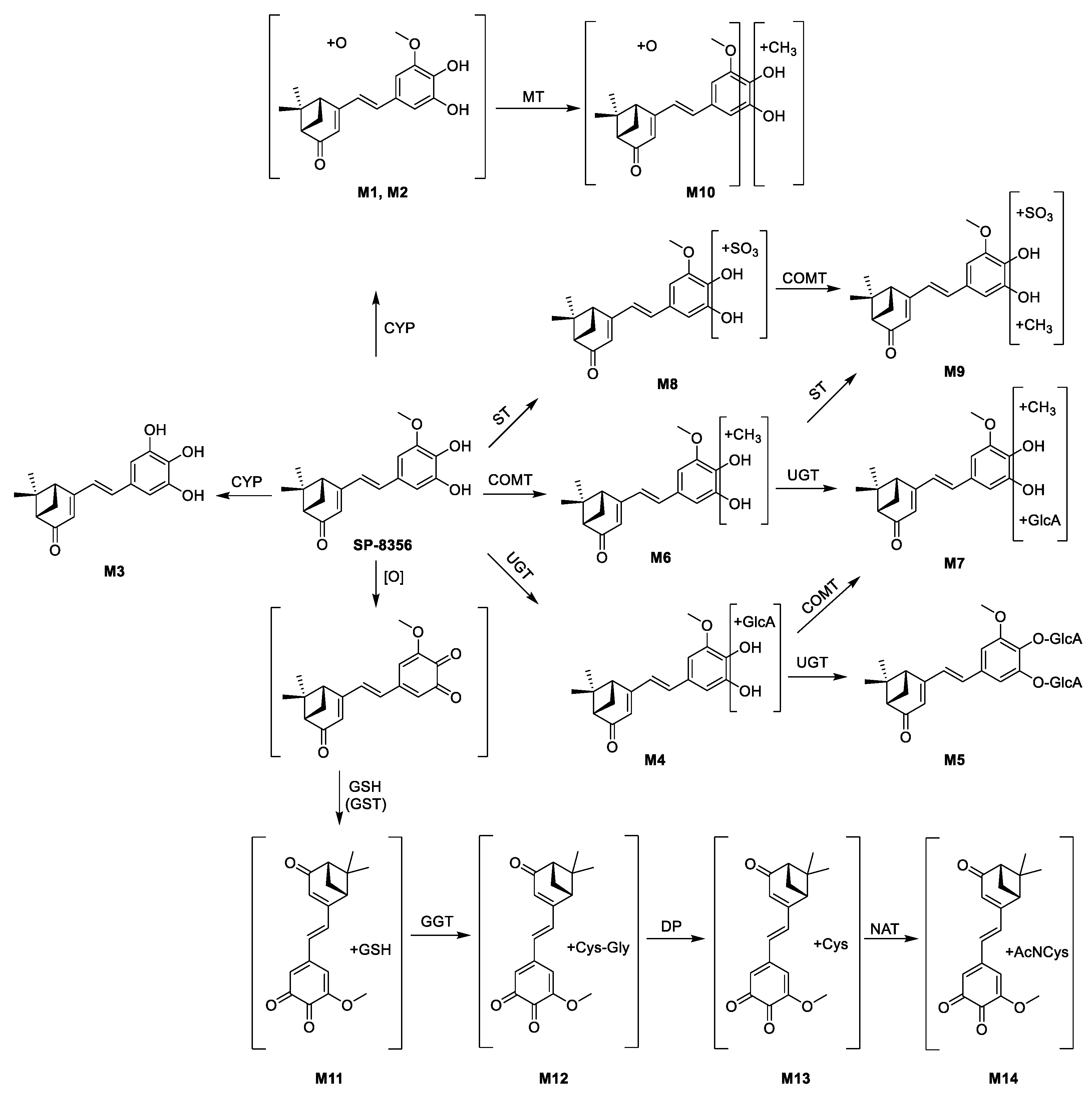 Molecules 25 01775 sch001