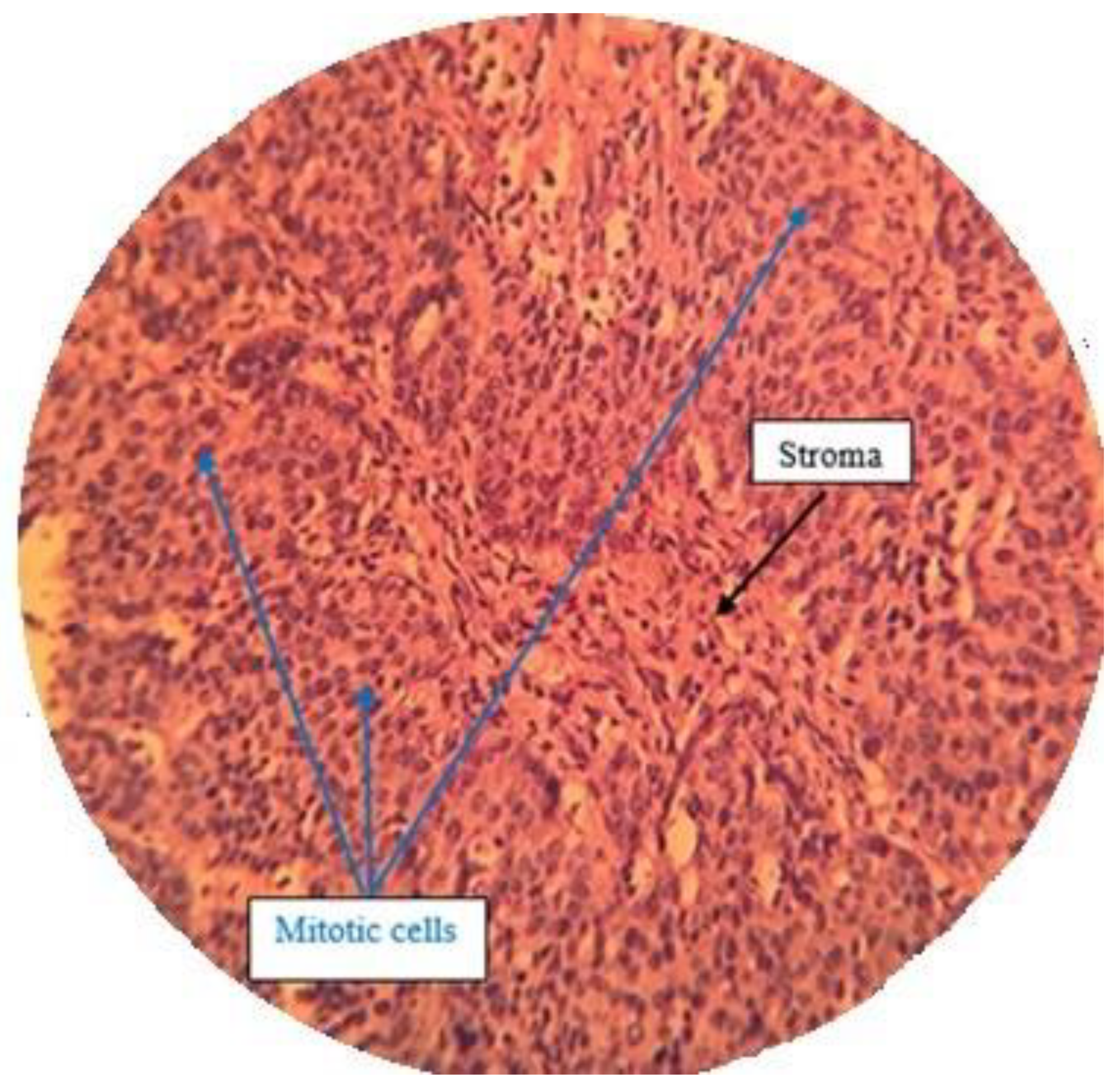 Molecules 25 01776 g014