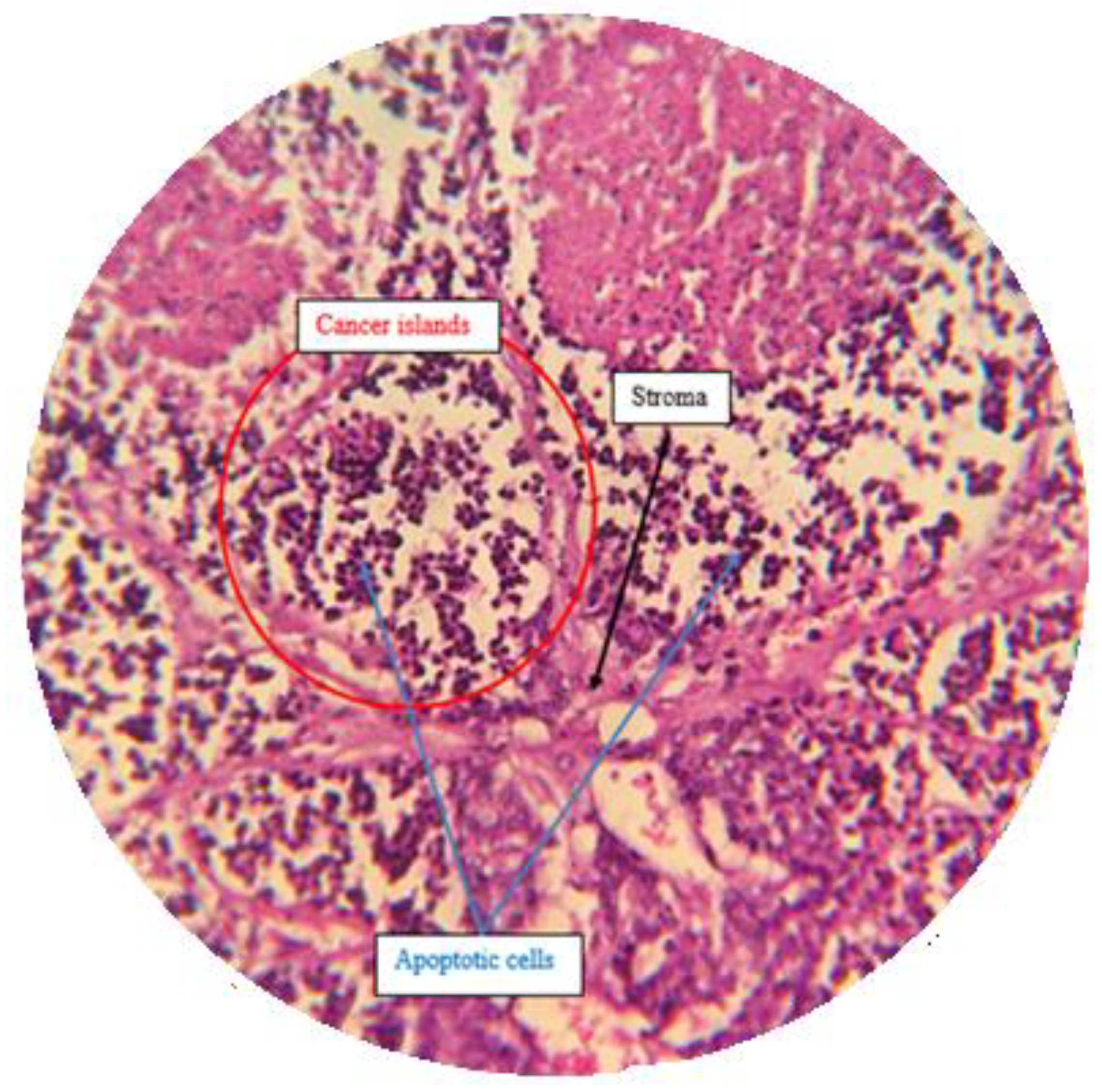 Molecules 25 01776 g015