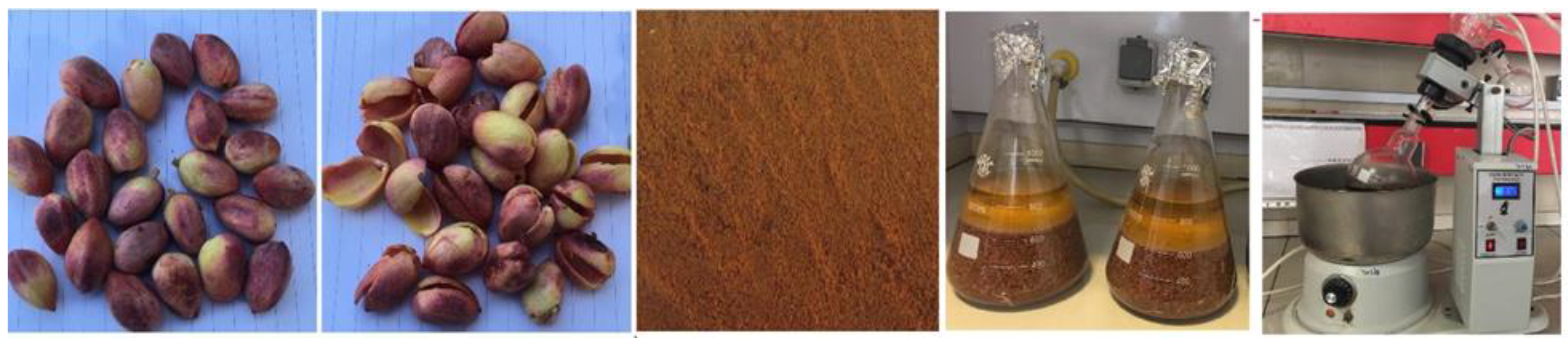 Molecules 25 01776 g019