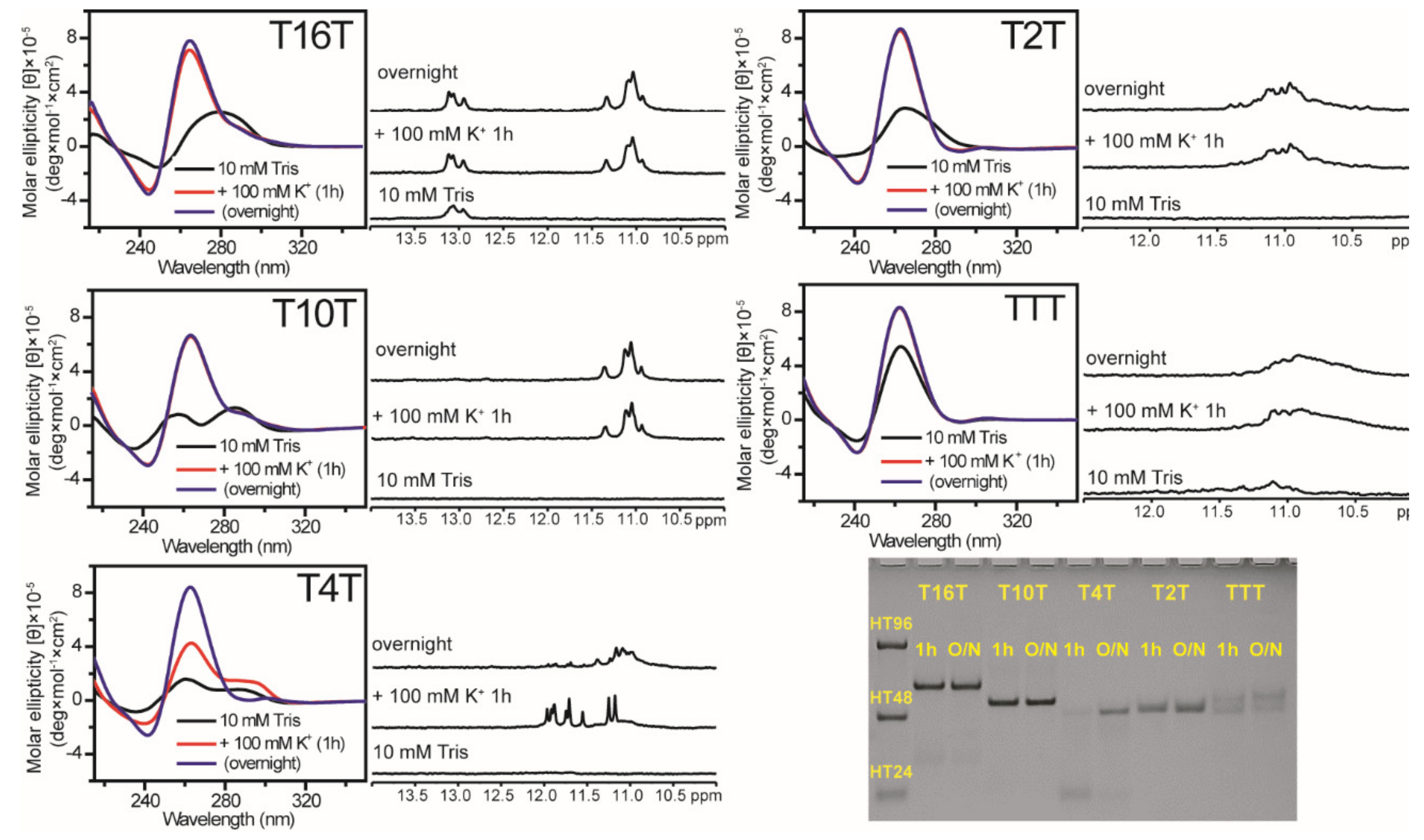 Molecules 25 01779 g002 Molecules 25 01779 g002