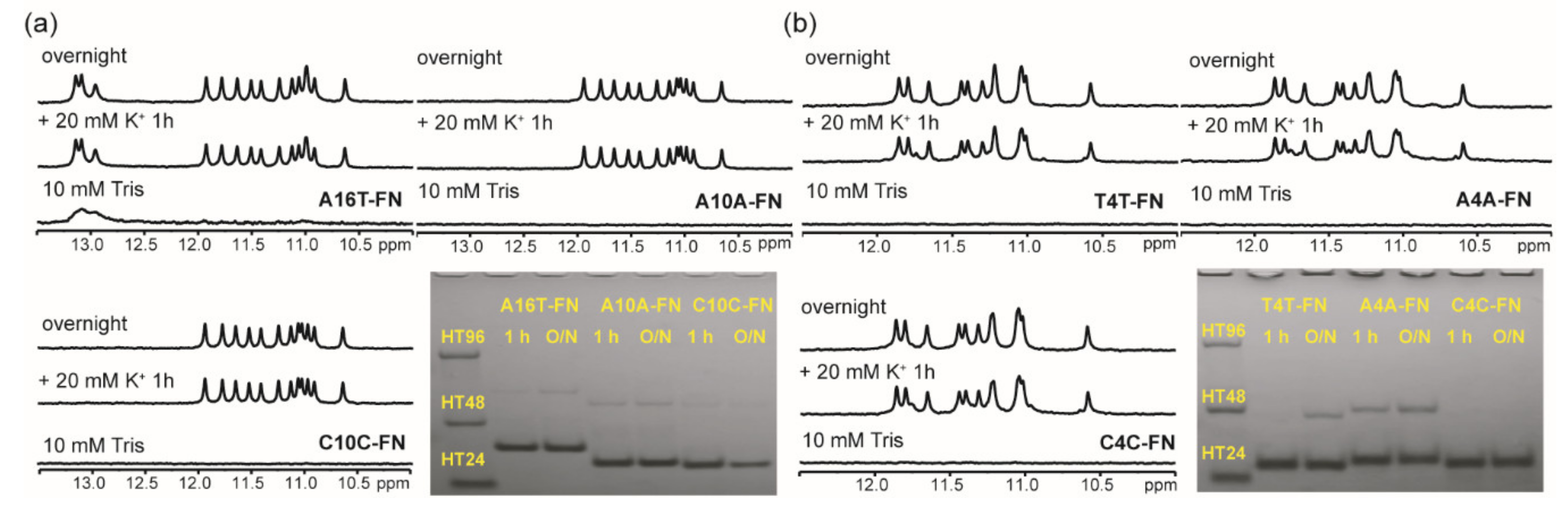 Molecules 25 01779 g005 Molecules 25 01779 g005
