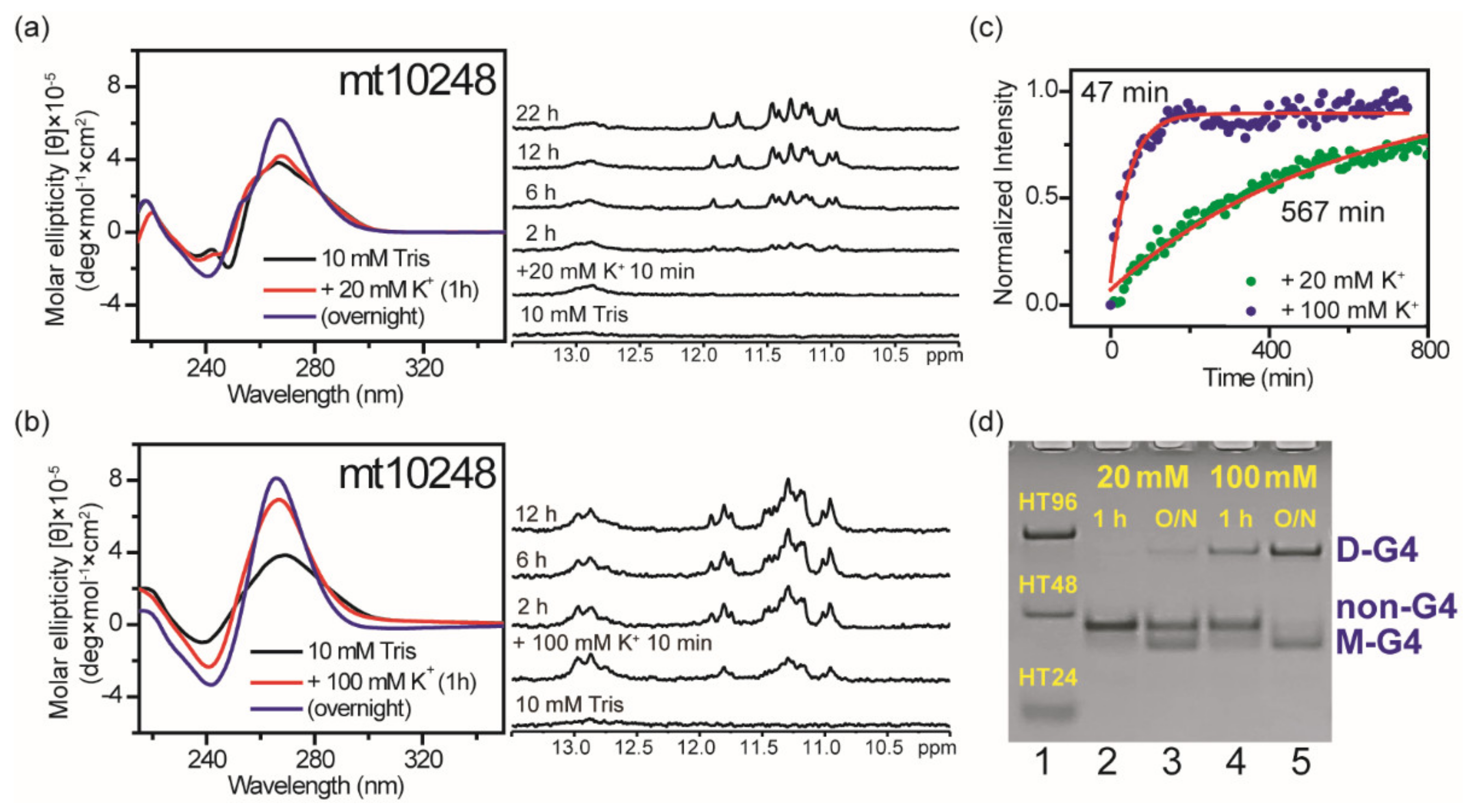 Molecules 25 01779 g007 Molecules 25 01779 g007