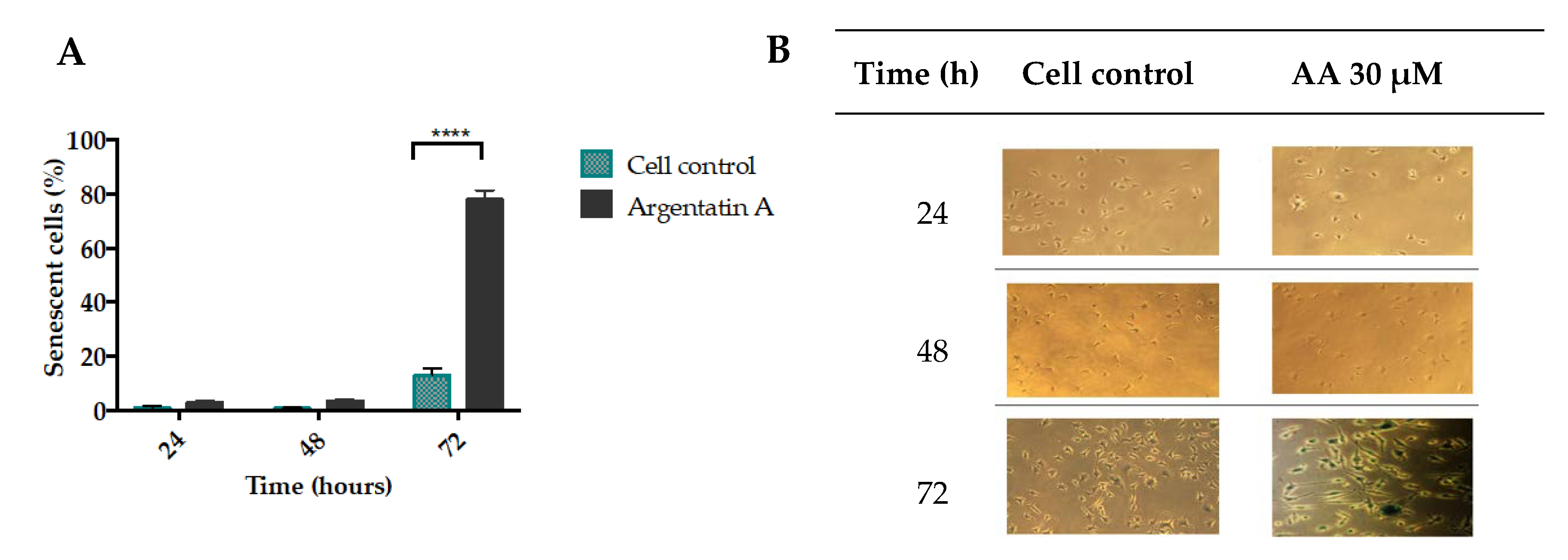 Molecules 25 01780 g003