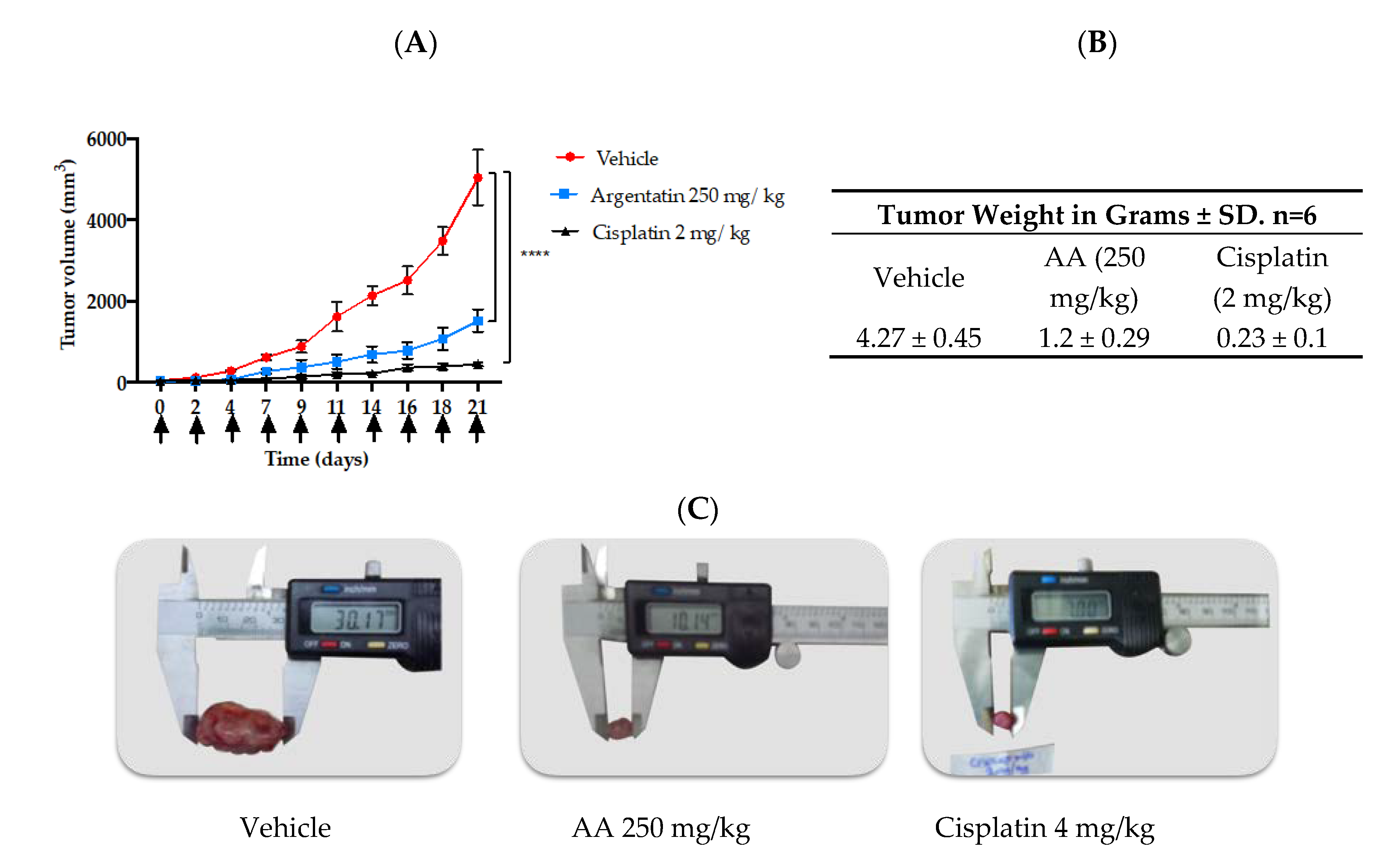 Molecules 25 01780 g006