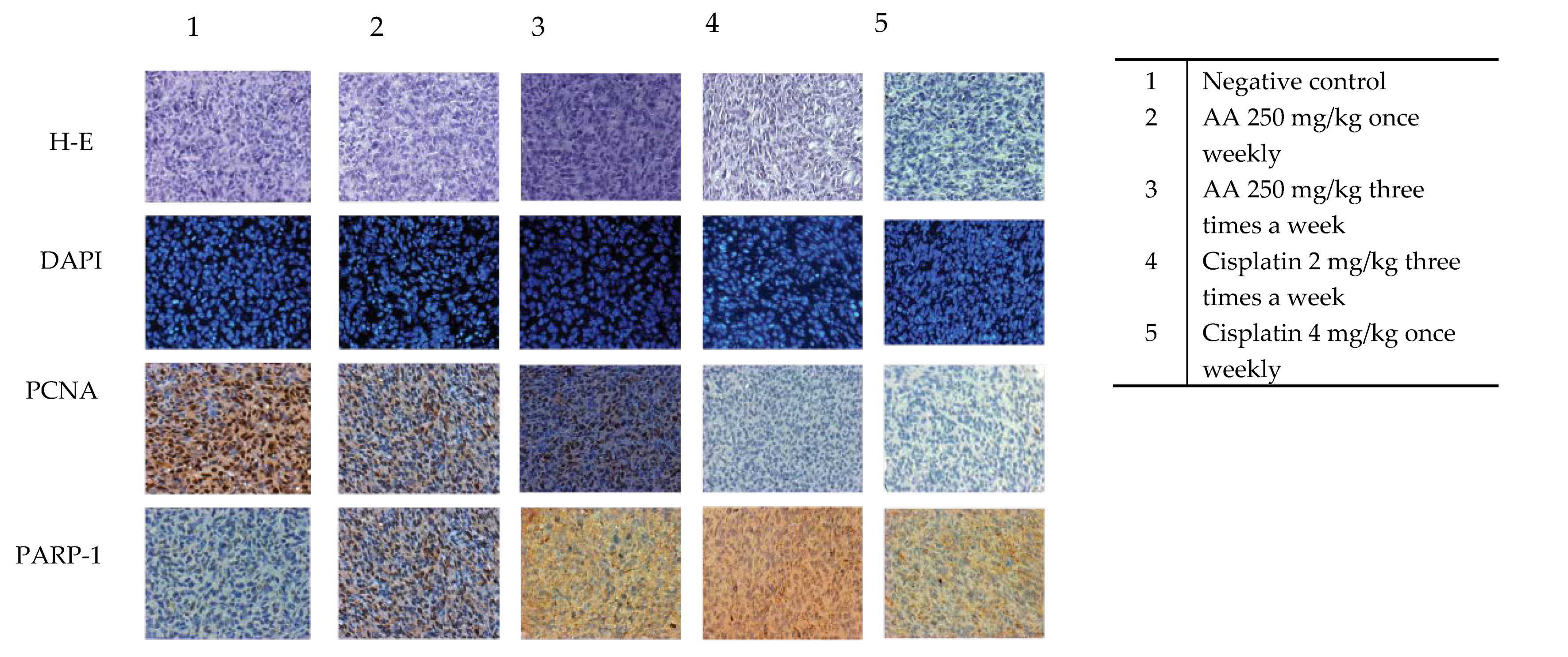 Molecules 25 01780 g007