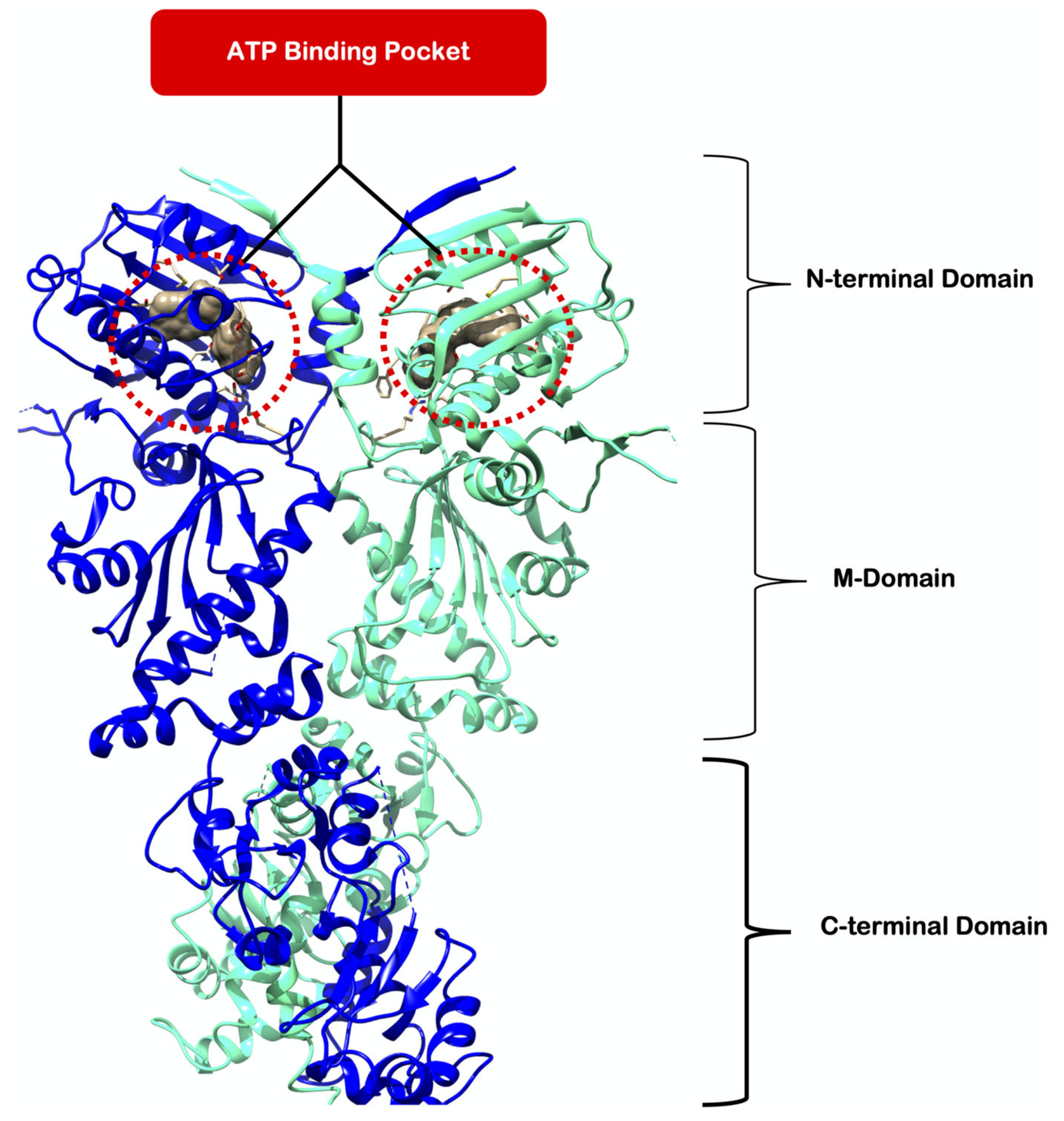 Molecules 25 01785 g001