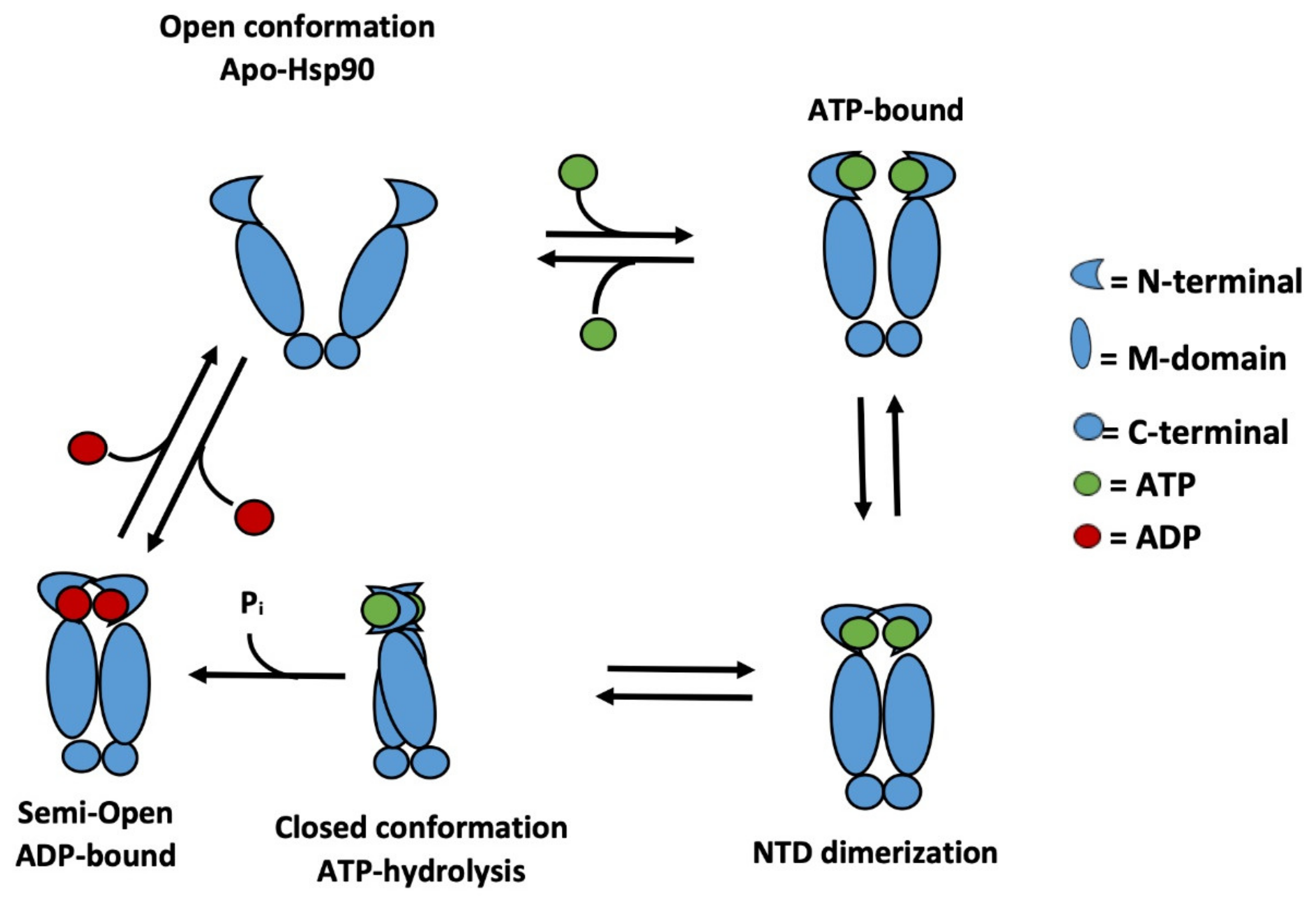 Molecules 25 01785 g002
