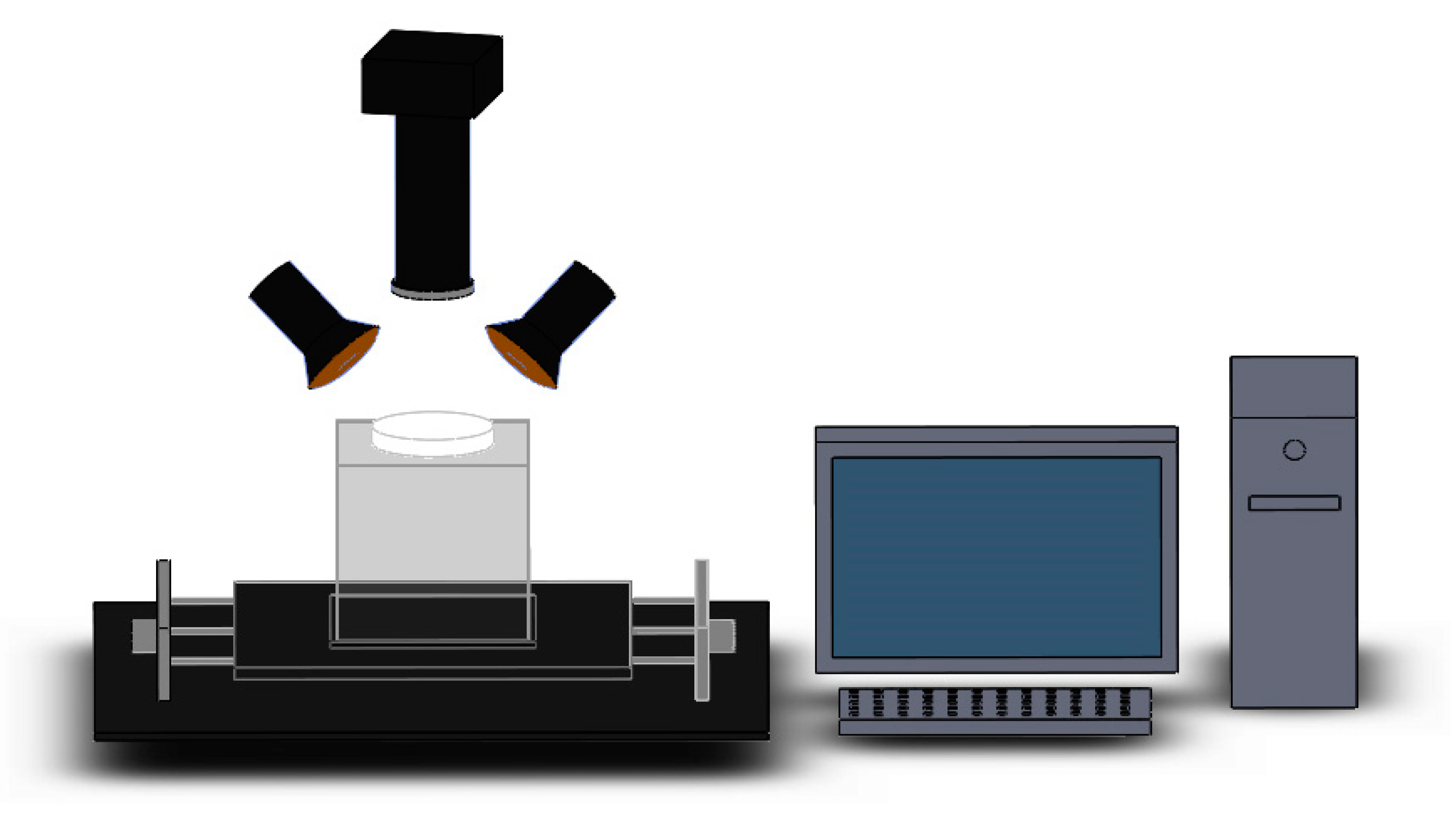 Molecules 25 01797 g004