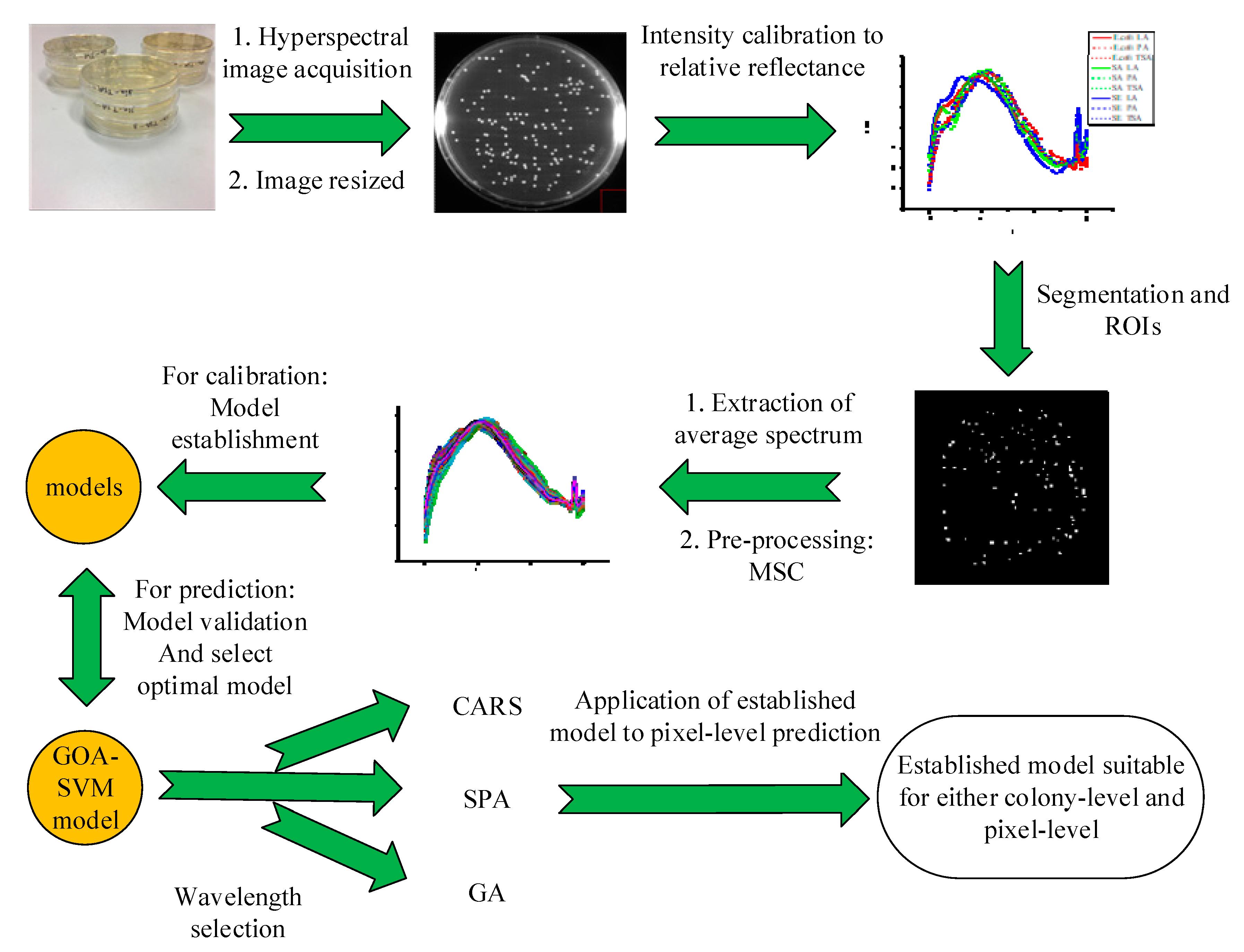 Molecules 25 01797 g005