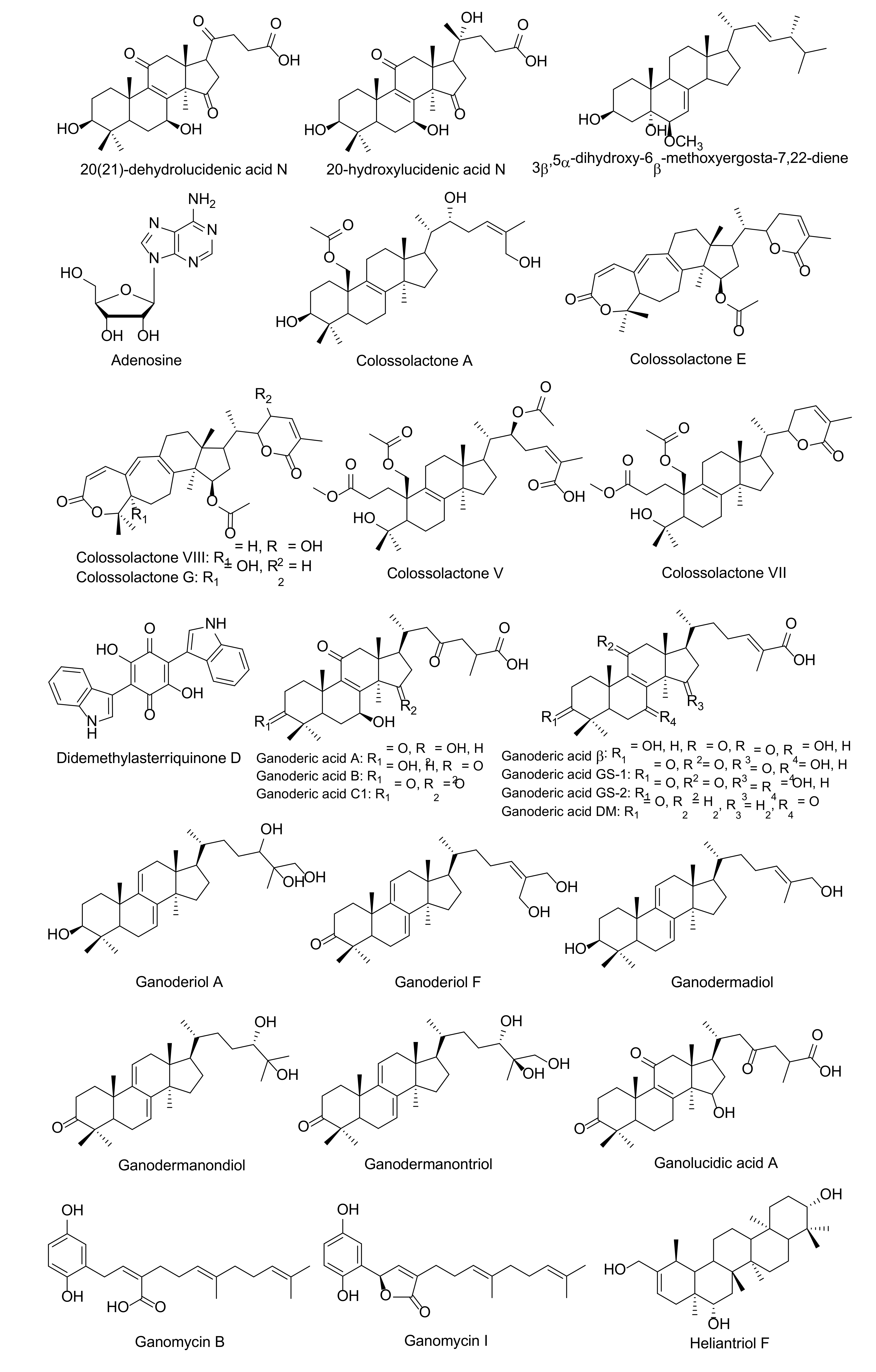Molecules 25 01800 g003a