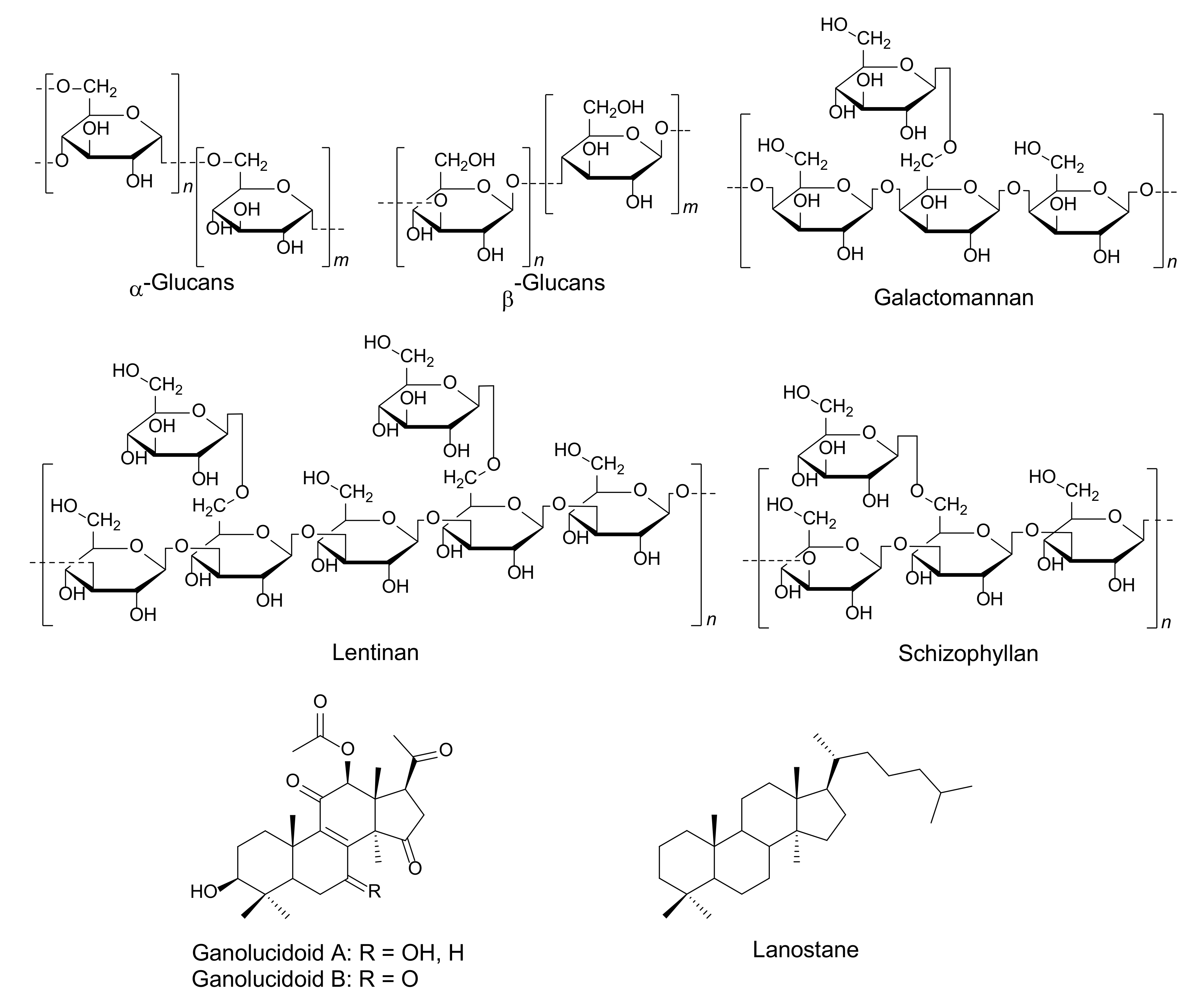 Molecules 25 01800 g005